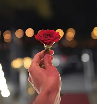 Offrir une rose