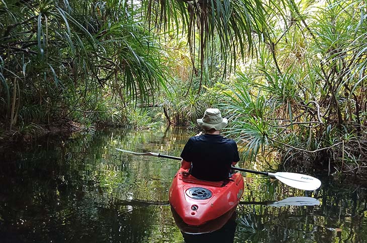 Nature & wildlife holidays in Southeast Asia