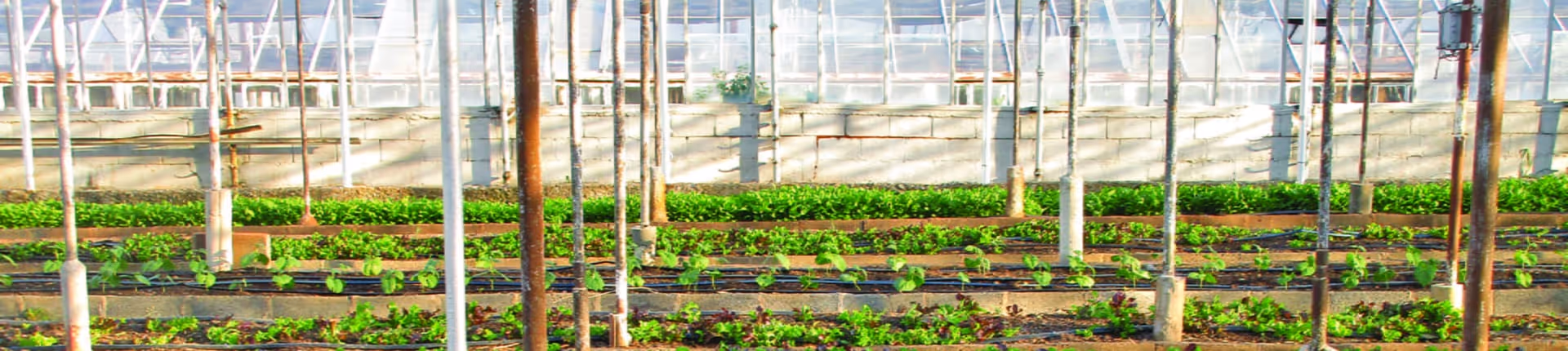 Montage of our technology commercials.