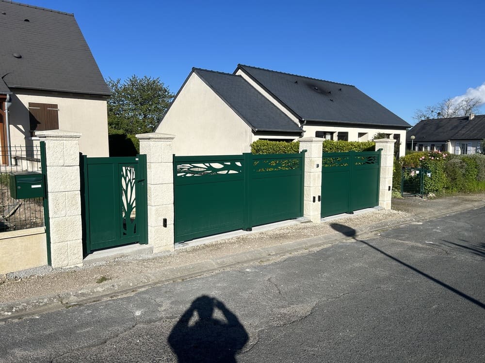 Photo de Ensemble portail et portillon ARBUSTE Chinon