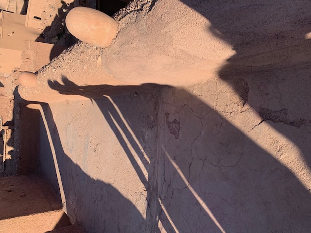 Complexes and the Inherited Shadow: How Family TraumaBecomes a Biological Reality — and How We Break the Chain