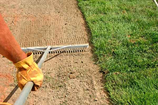 Challenging seasons to lay sod