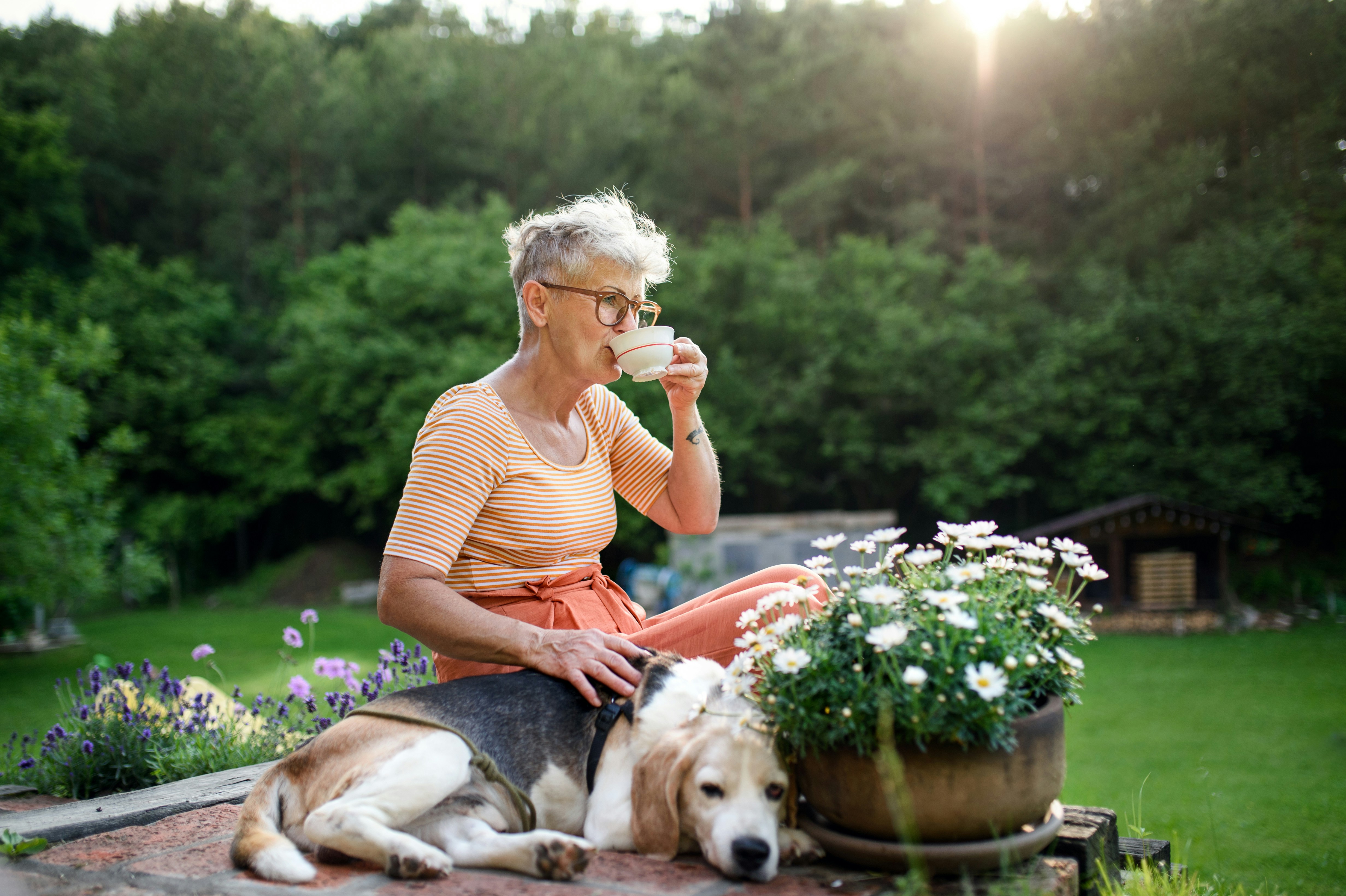 Elderly woman sitting in the sun with pet