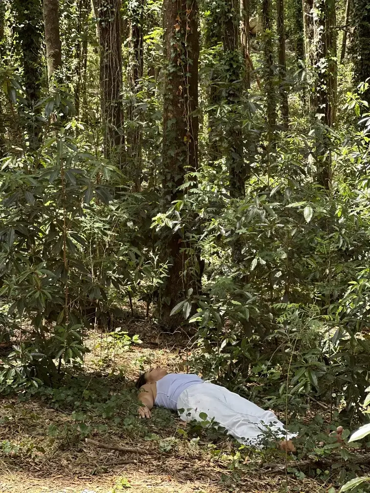 Silhouette of an anonymous participant lying in Sintra forest, symbolising wonder, serenity, and the unforgettable beauty of Martin Thomsen’s curated walks.