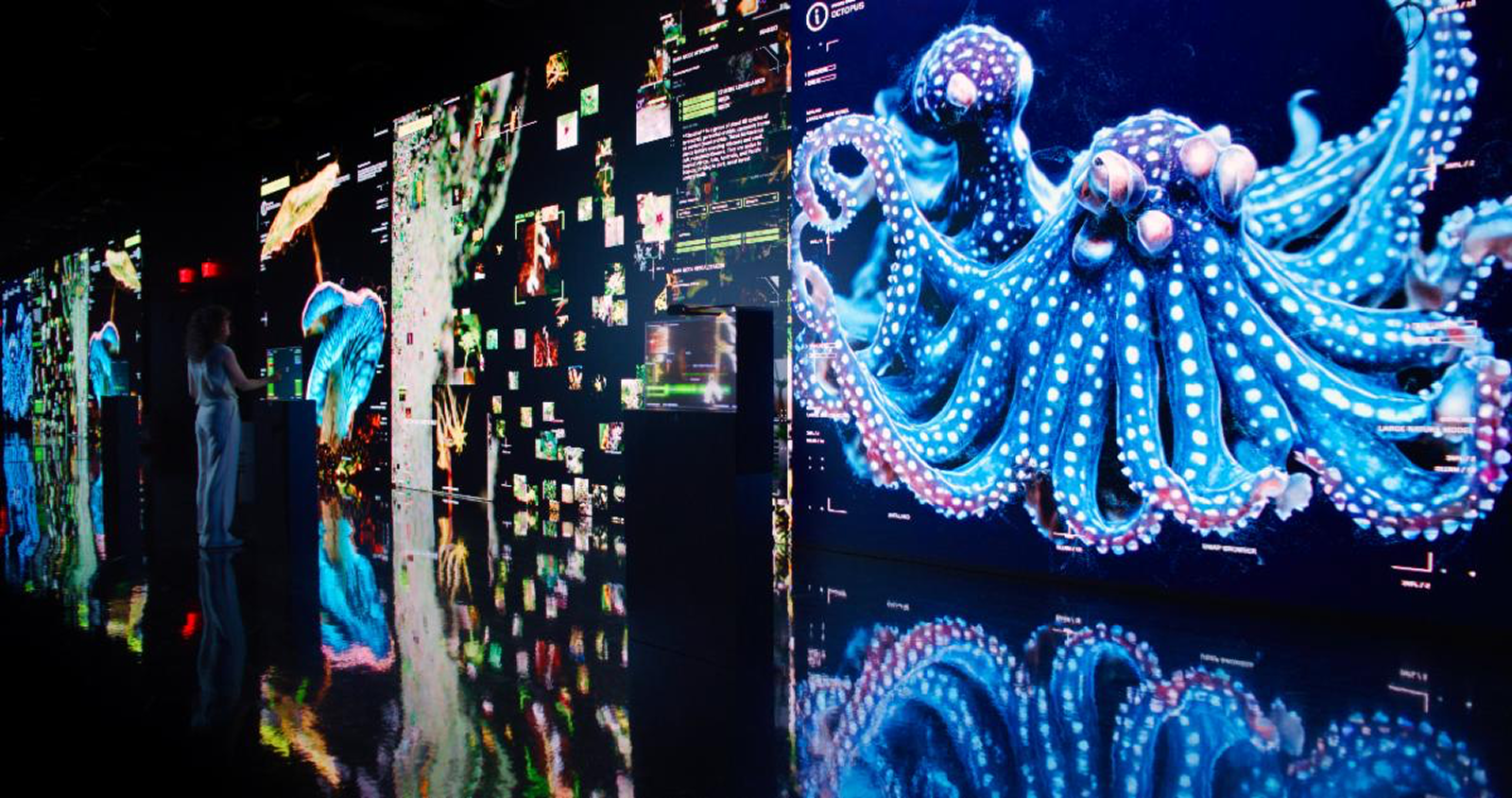 Machine Dreams: Rainforest