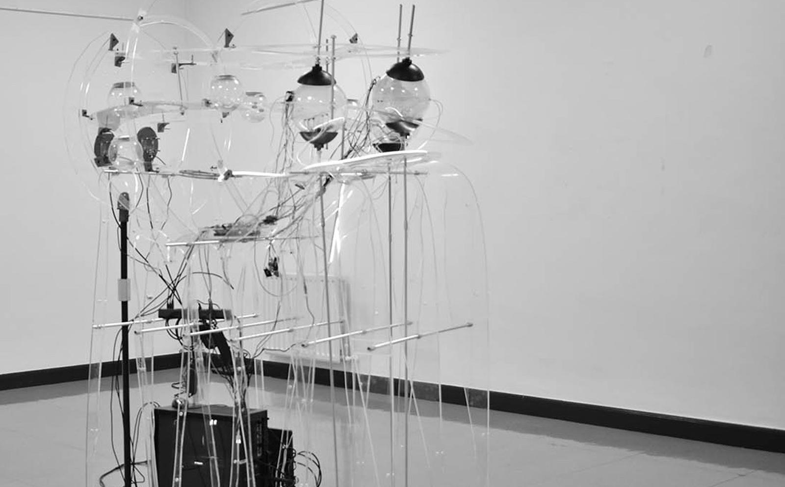 Unstable Ecologies: Between Potential Organs and Latent Forms of Life