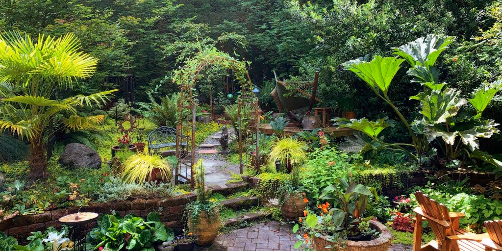 green plants on brown clay pots
