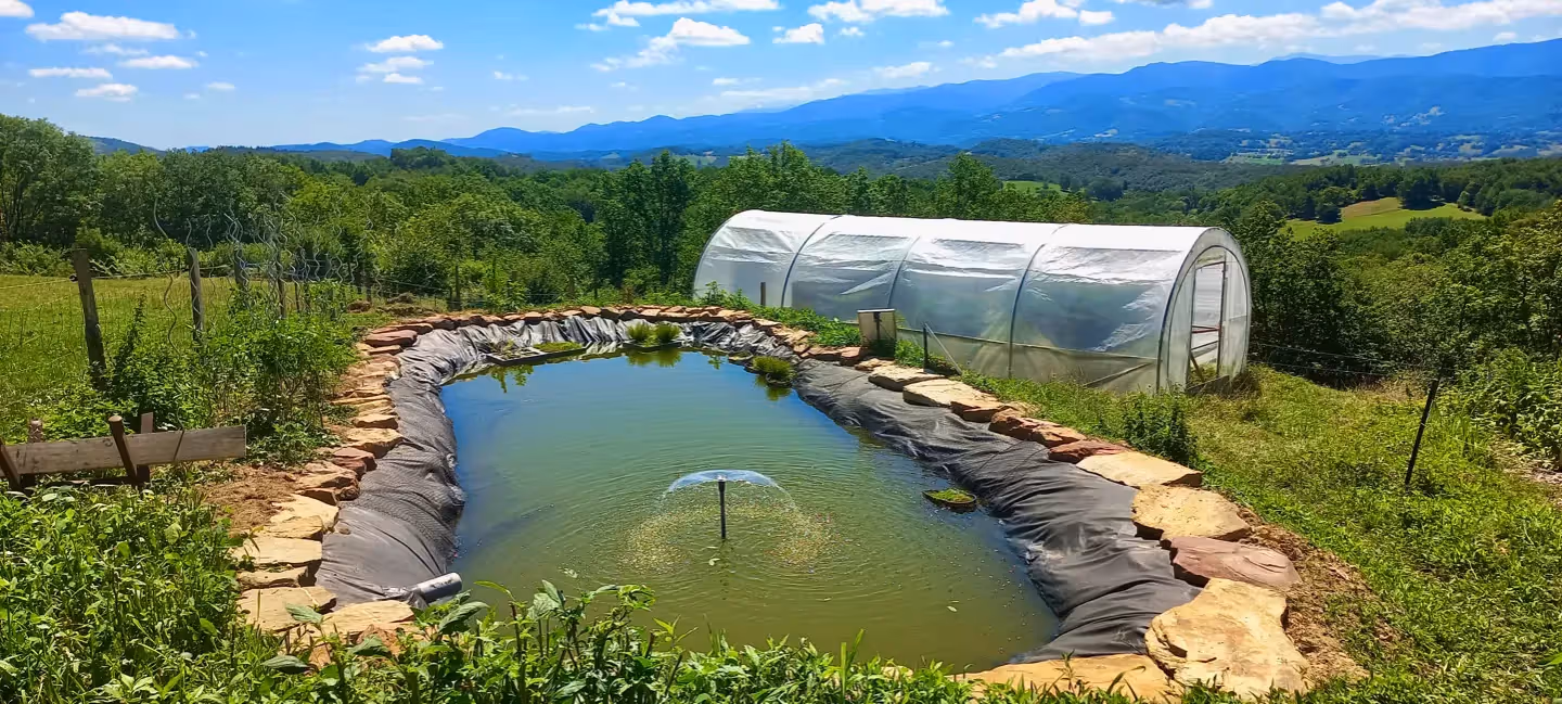 Domaine des Sarraillès | Étang.webp