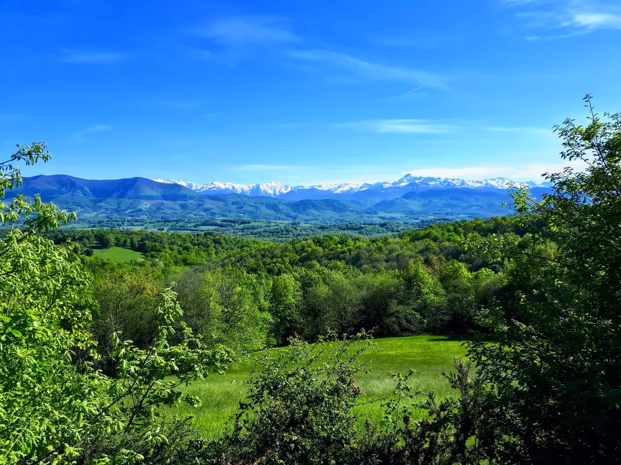 Domaine des Sarraillès | Pyrénées.webp