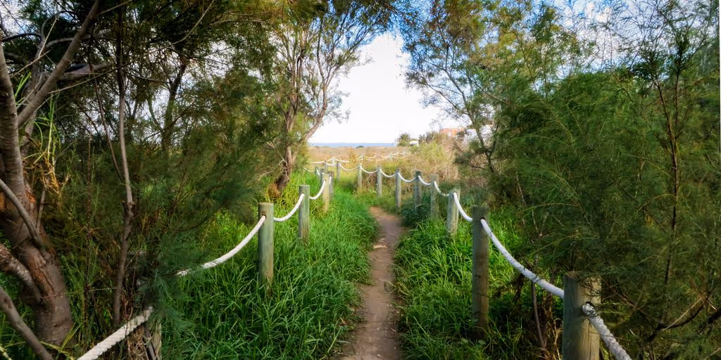 green grass and trees during daytime
