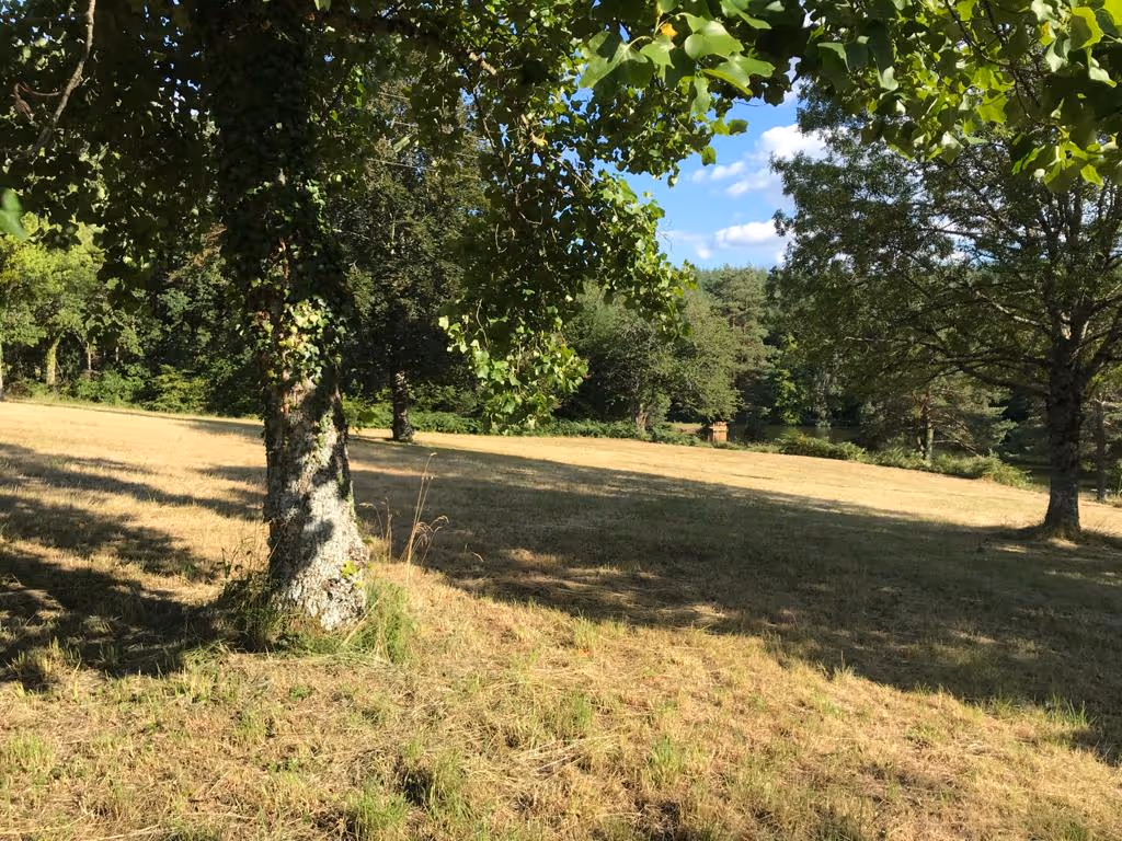 Lieu de retraite yoga dans le Morvan | Champ.jpeg
