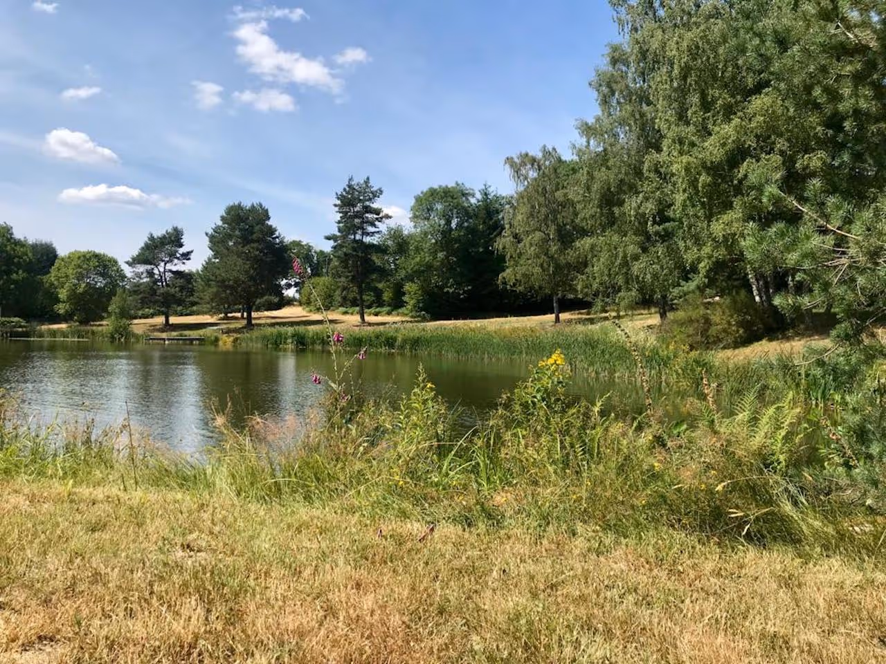Lieu de retraite yoga dans le Morvan | Étang.jpeg