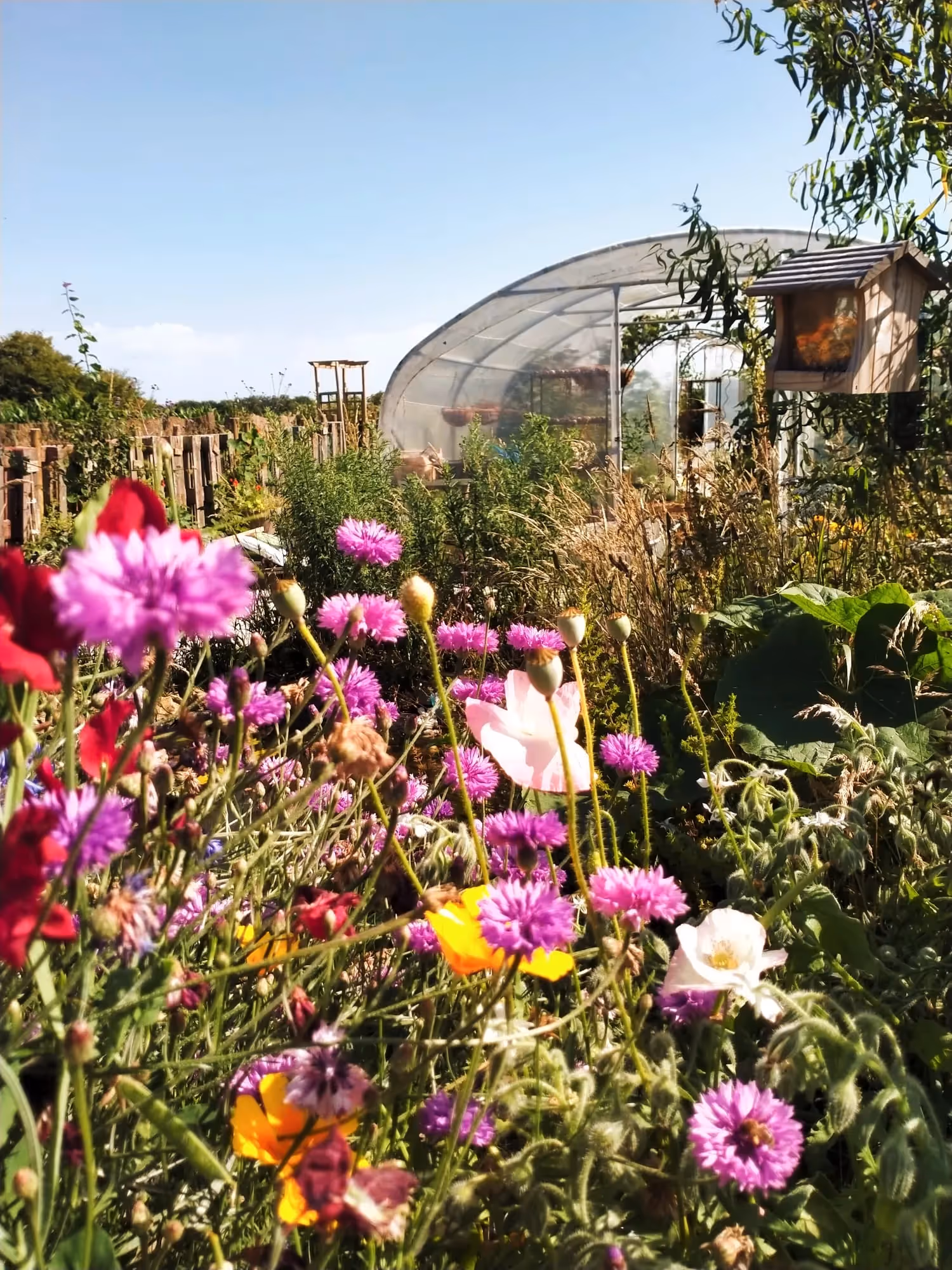 Lieu de Retraite Bien-Etre en Manche 8.webp