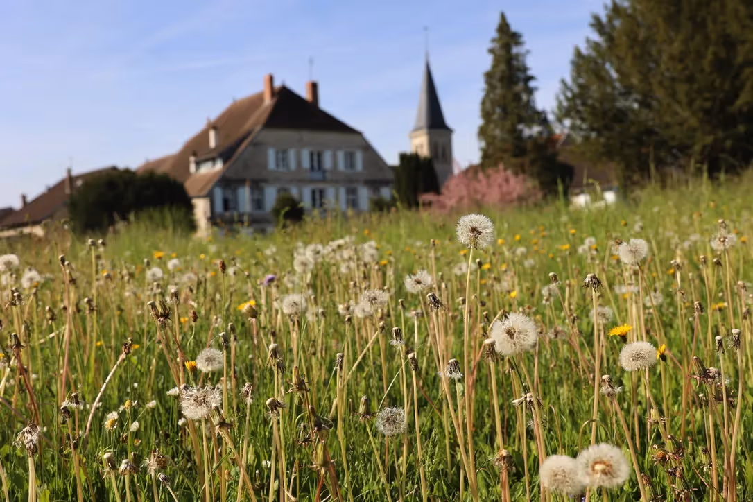Lieu de Retraite Bien-Etre en Jura 3.webp