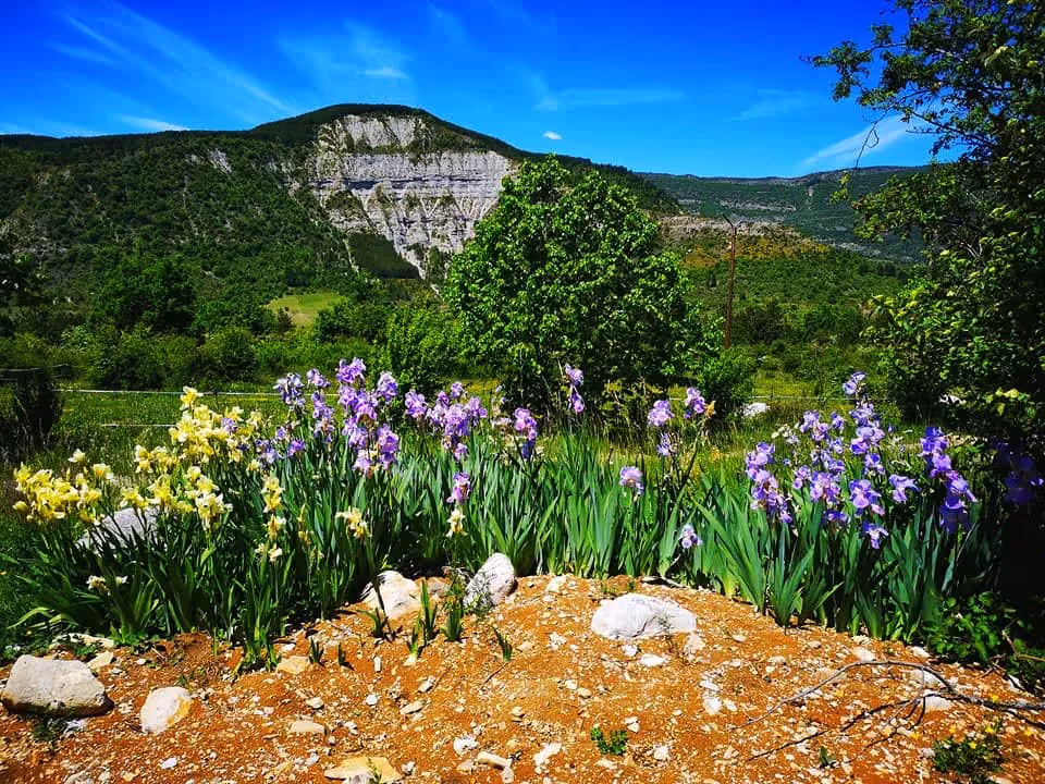 Lieu de Retraite Bien-Etre en Hautes-Alpes 1.webp