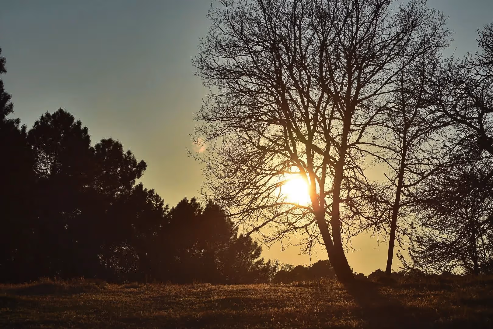 Lieu de Retraite Bien-Etre en Dordogne 22.webp