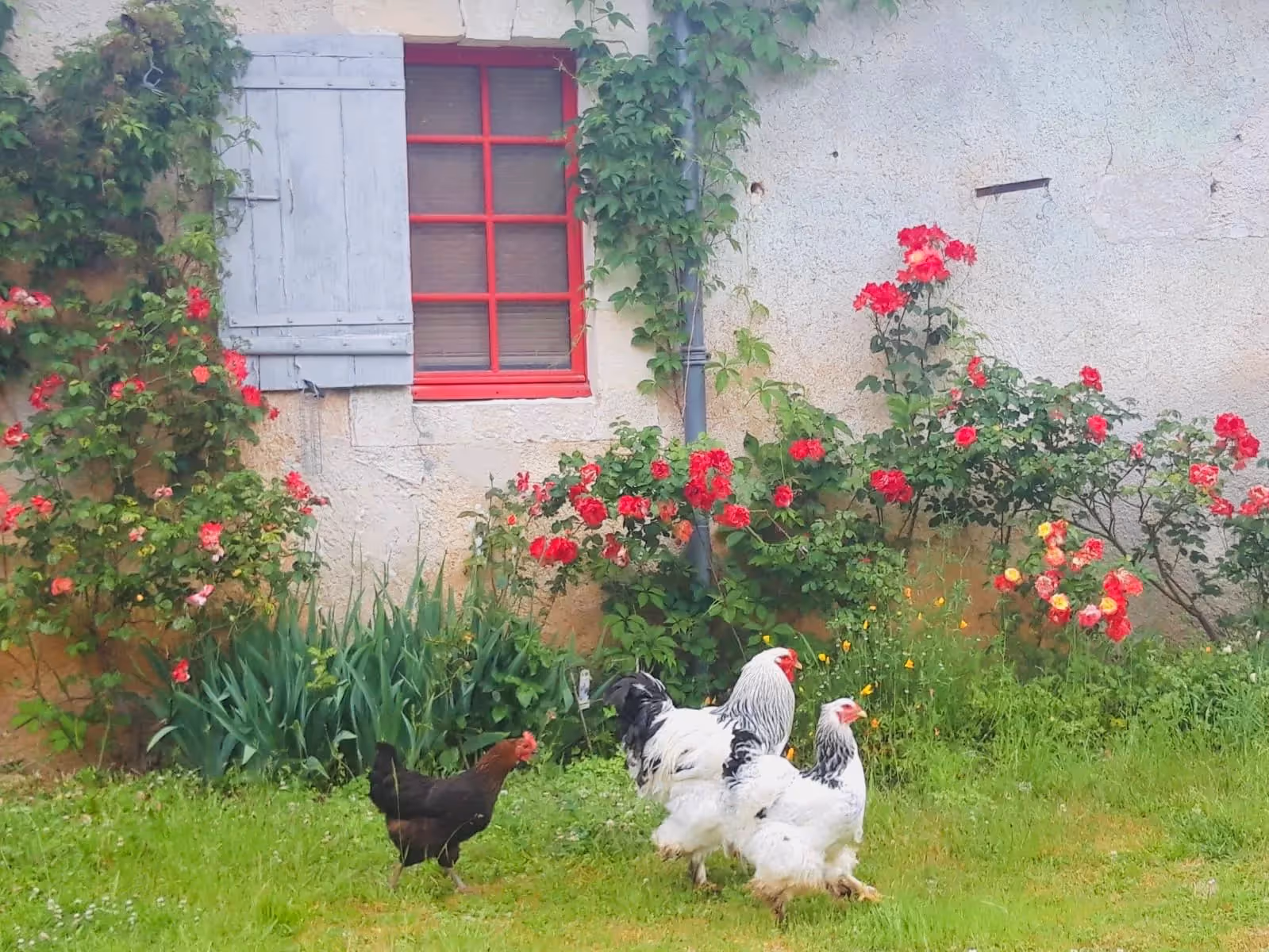 Lieu de Retraite Bien-Etre en Dordogne 9.webp