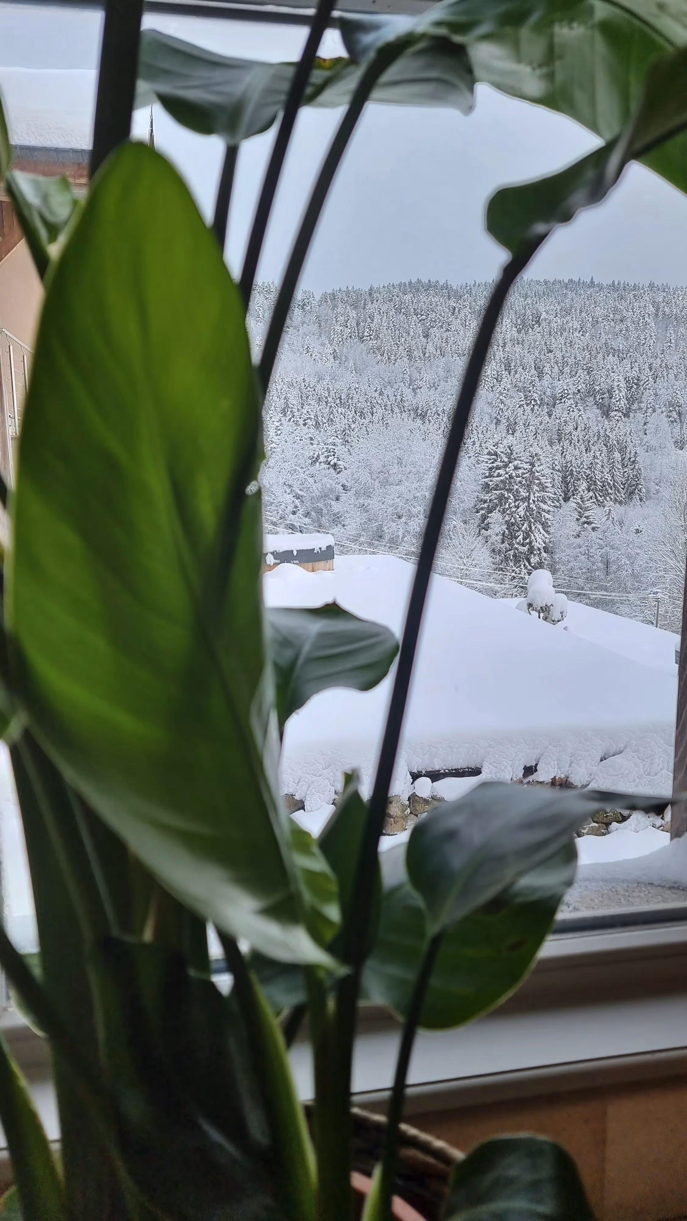 Lieu de Retraite Bien-Etre en Vosges 19.webp