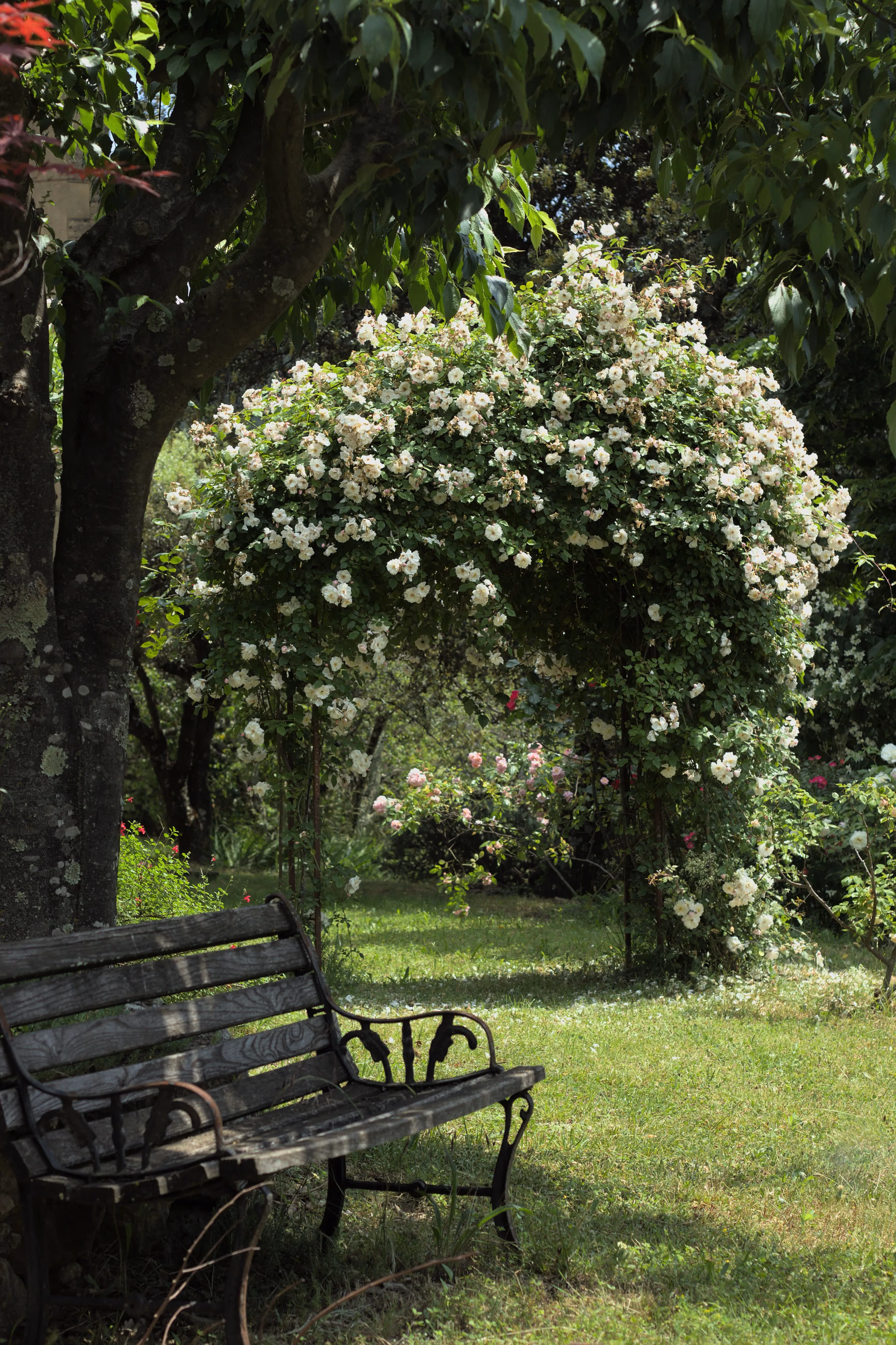 Lieu de Retraite Bien-Etre en Ardeche 5.webp
