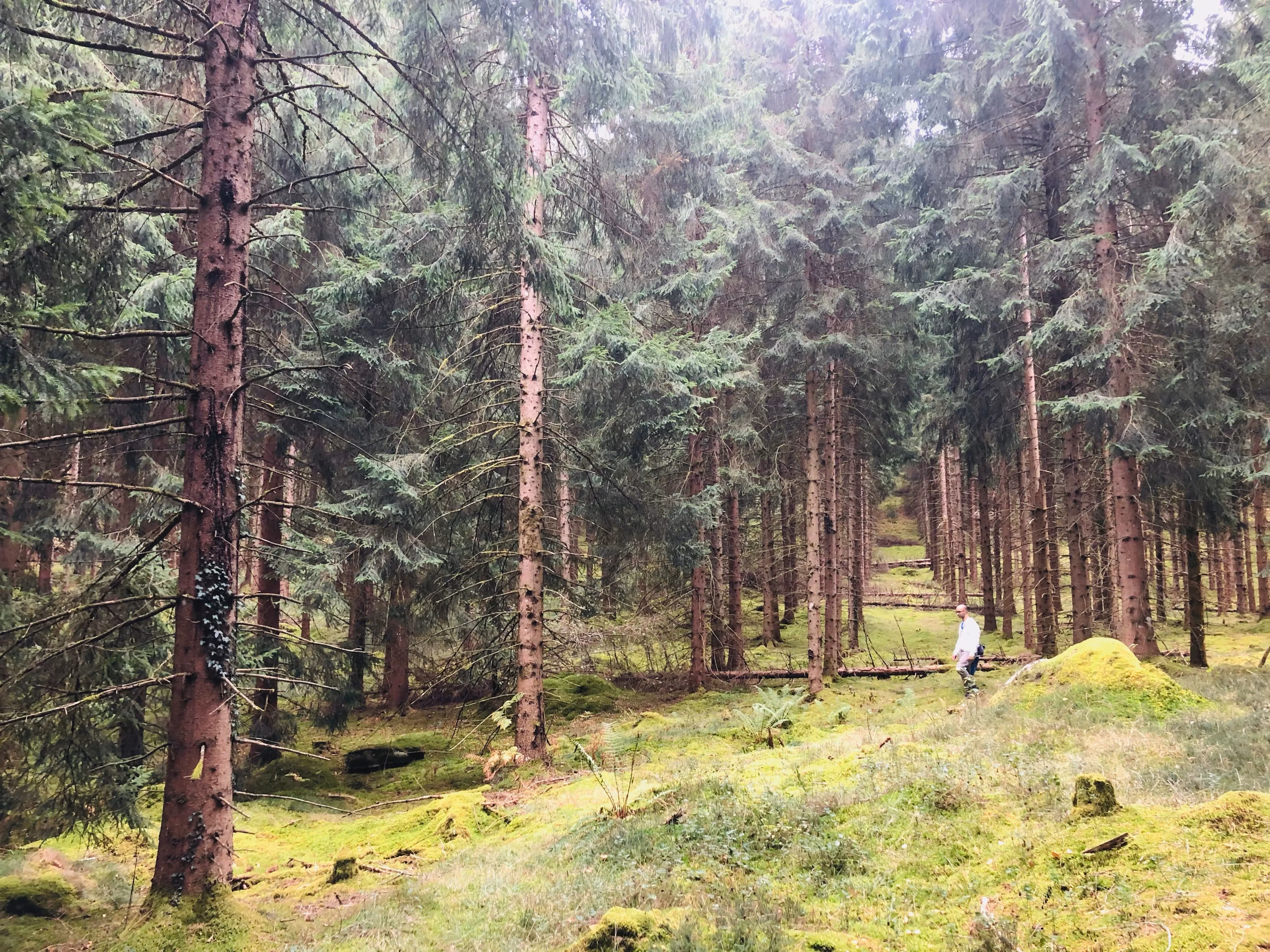 Lieu de Retraite Bien-Etre en Hautes-Pyrenees 10.webp