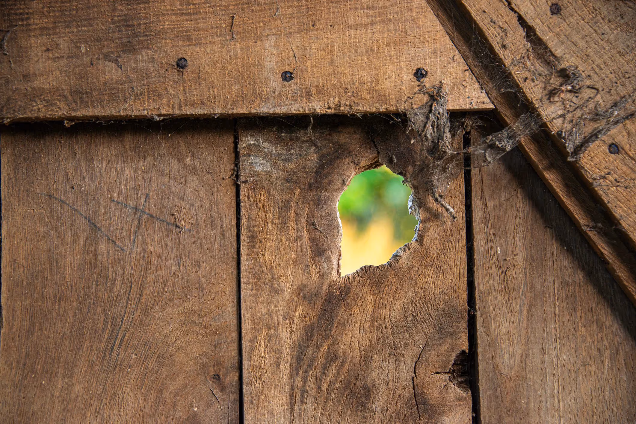 Lieu de Retraite Bien-Etre en Eure 17.webp