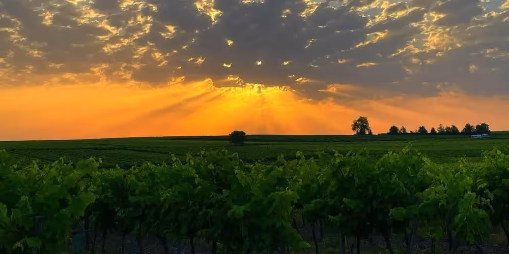 Lieu de Retraite Bien-Etre en Charente-Maritime 12.webp