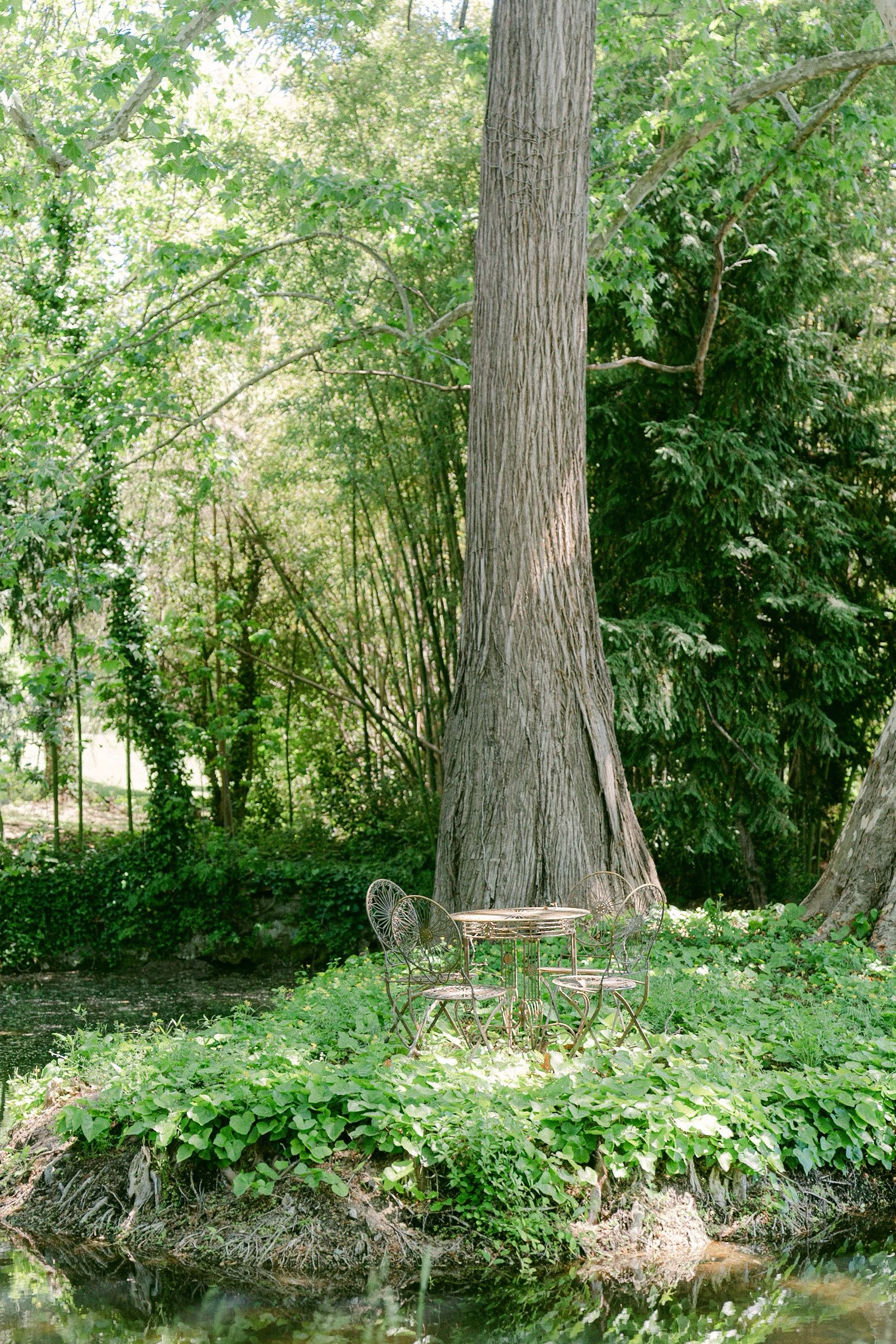 Lieu de Retraite Bien-Etre en Vaucluse 6.webp