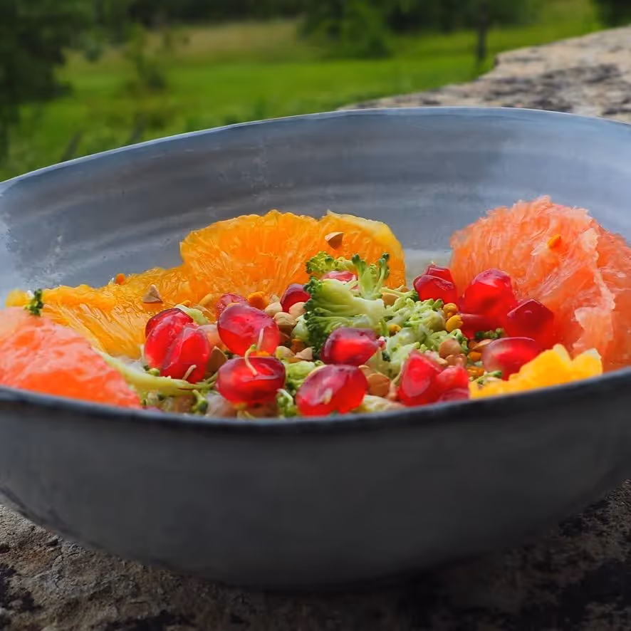 Lieu de Retraite Yoga en Lot 24.webp