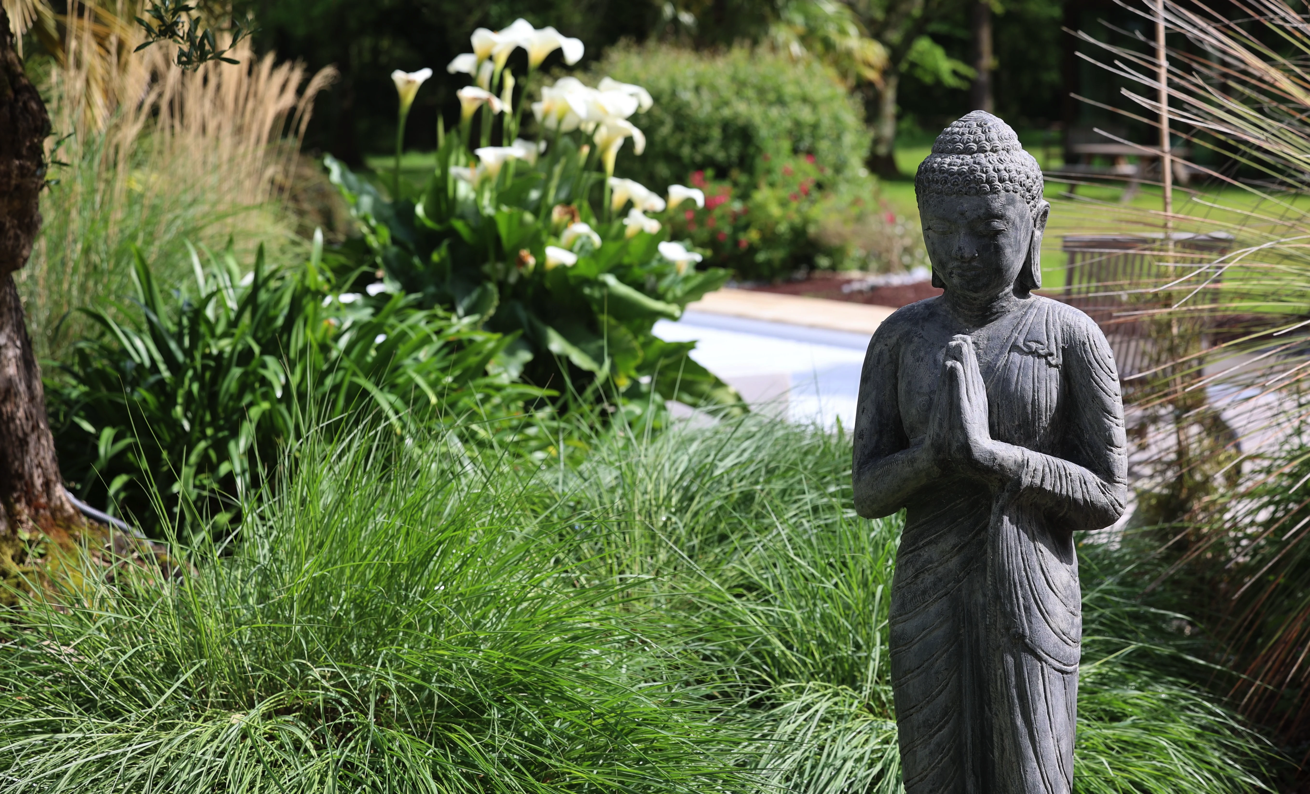 Lieu de Retraite Yoga en Loire-Atlantique 8.webp