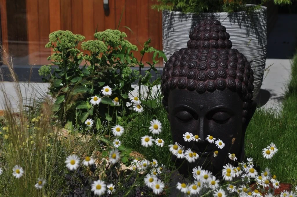 Lieu de Retraite Yoga en Yvelines 10.webp