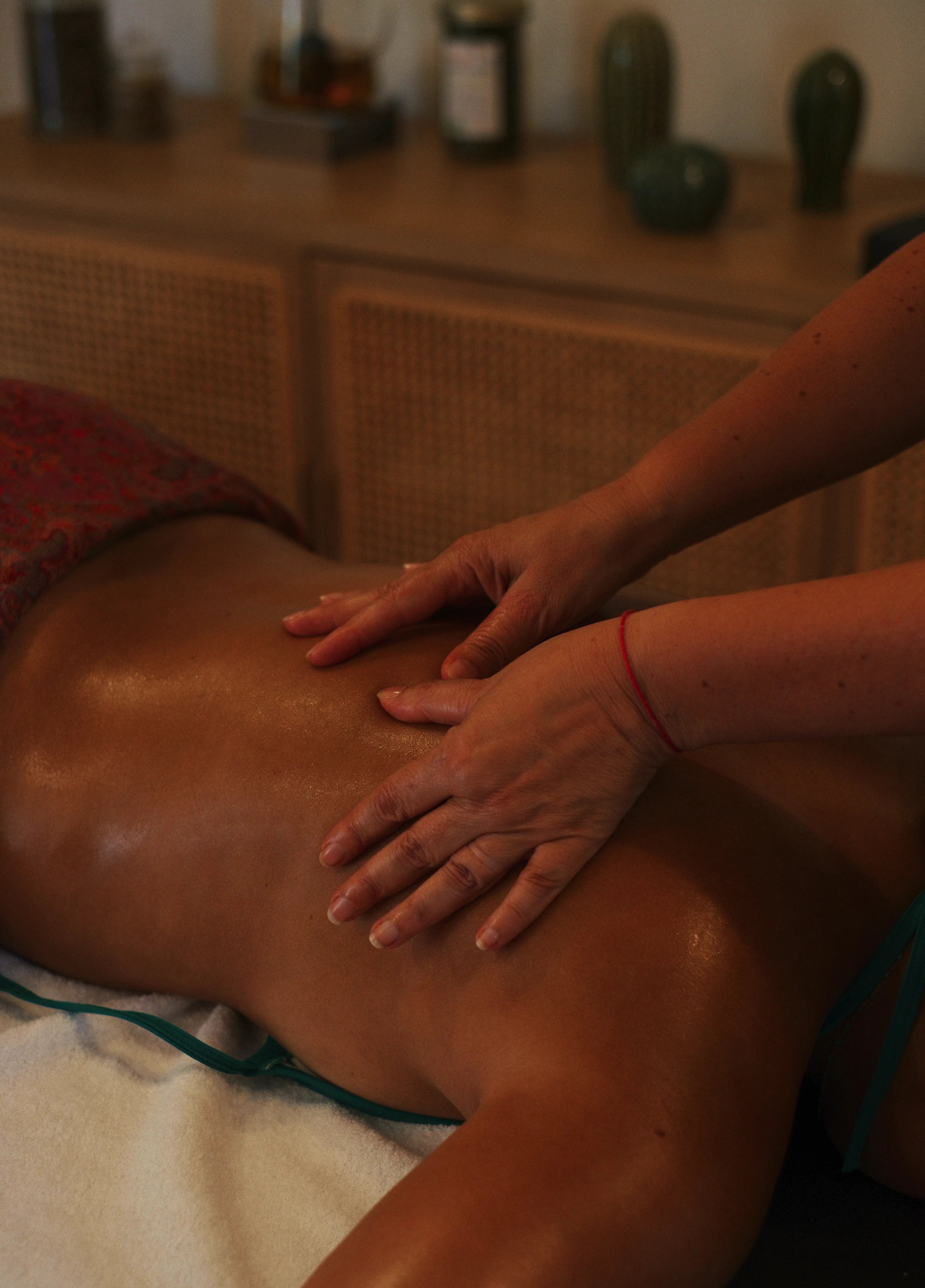 domaine de camboyer HD (96 sur 98).webp