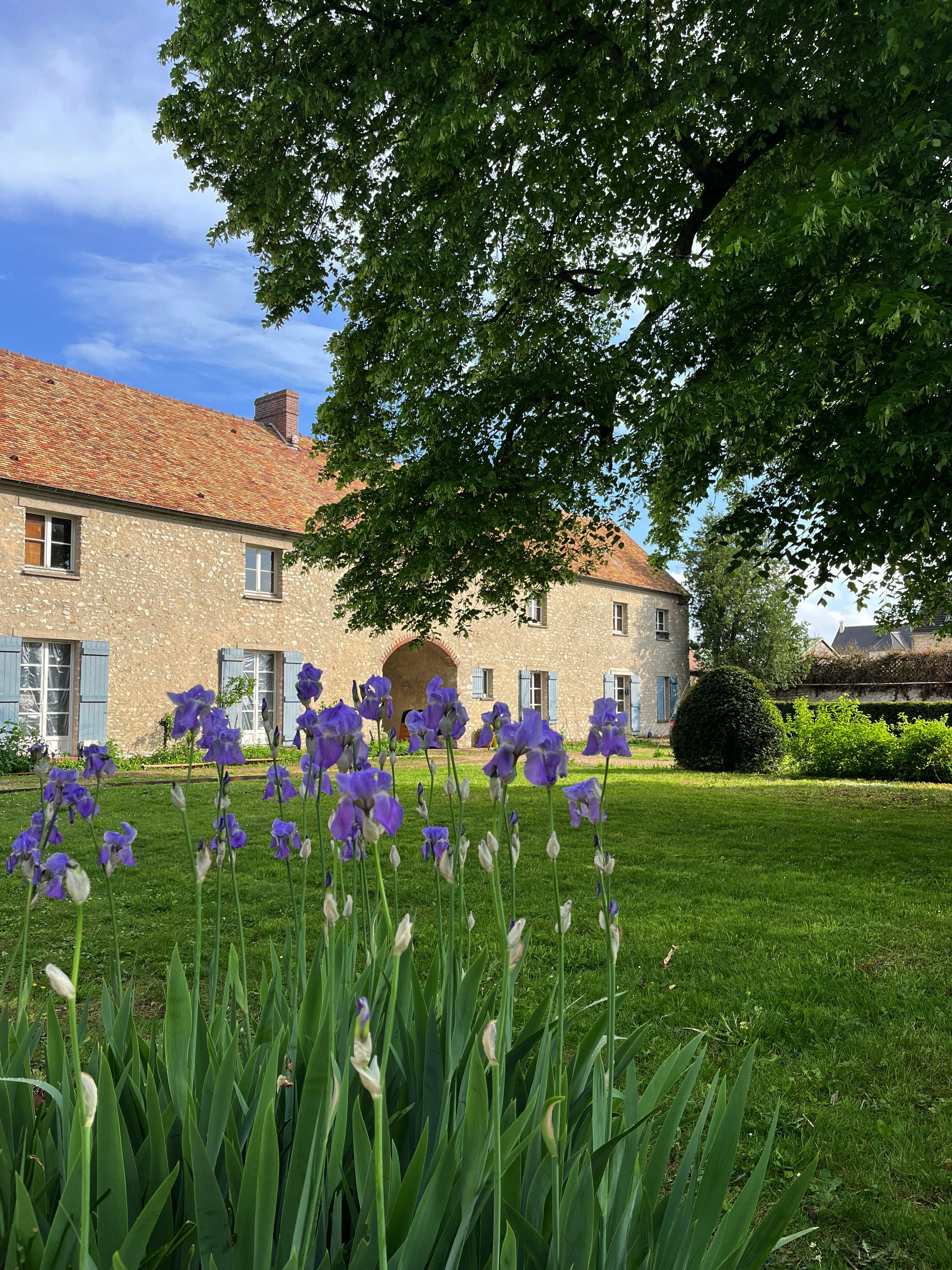 Lieu de Retraite Yoga en Yvelines 4.webp