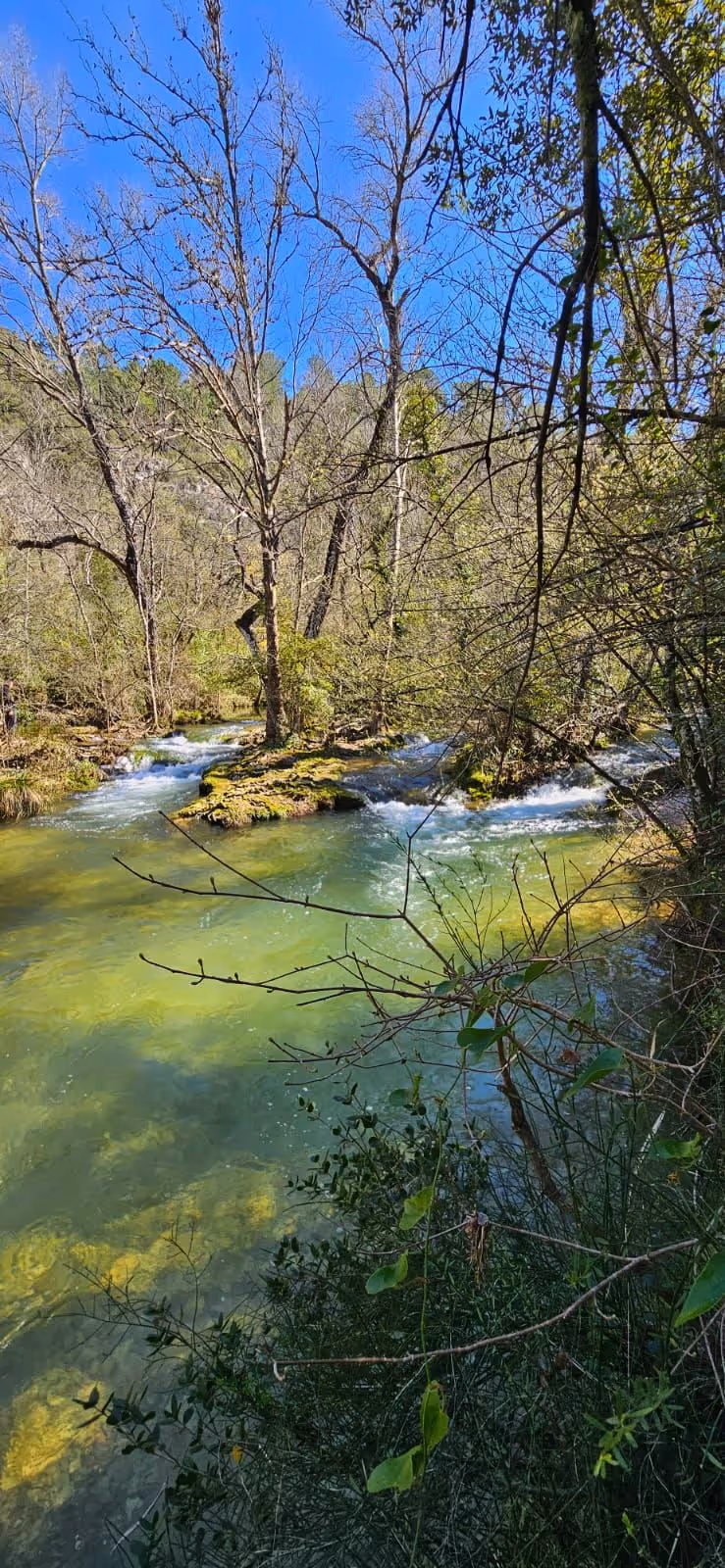 Lieu de Retraite Yoga en Var 5.webp