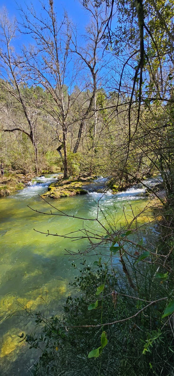 Lieu de Retraite Yoga en Var 5.webp