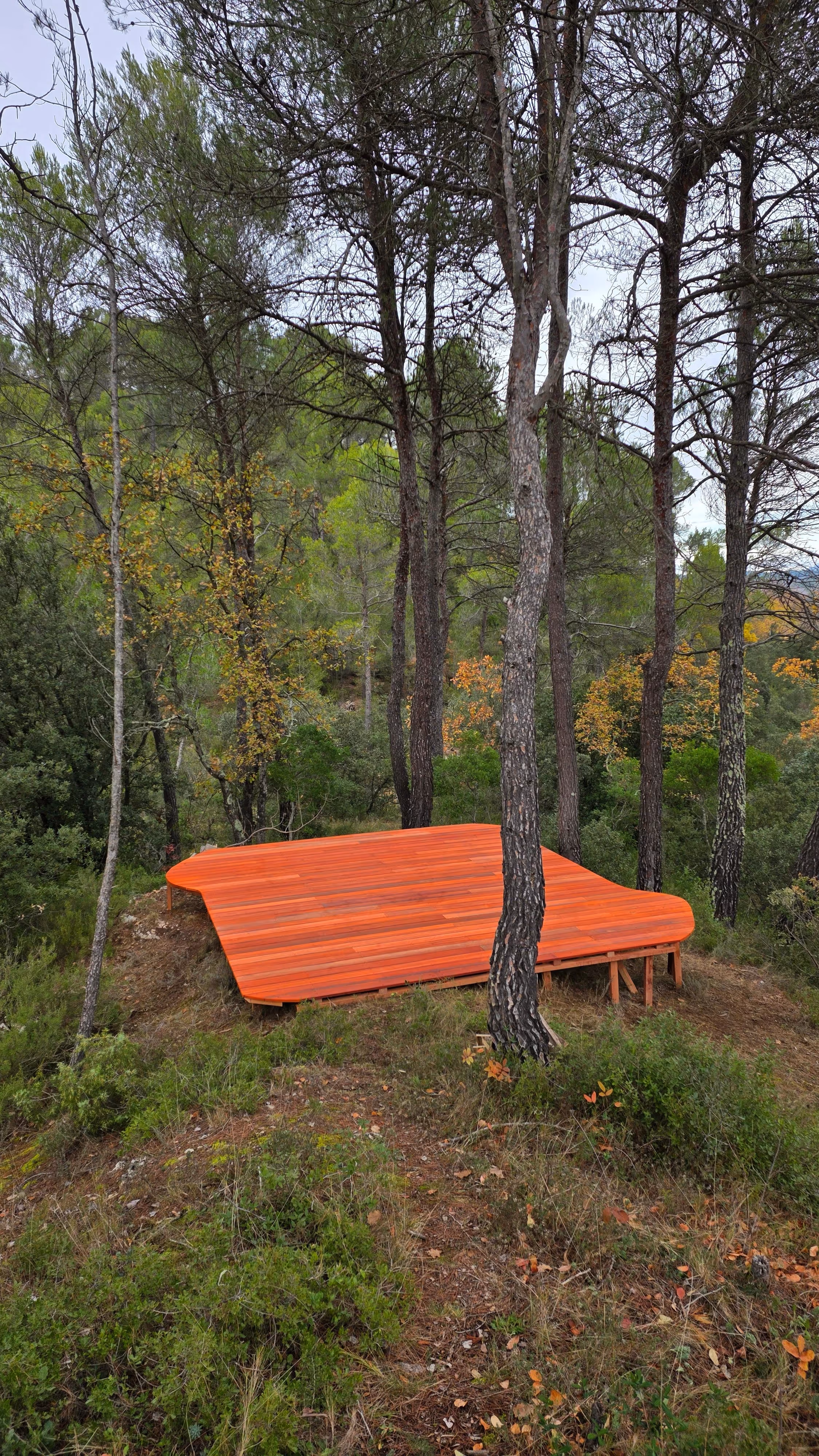 Lieu de Retraite Yoga en Var 2.webp