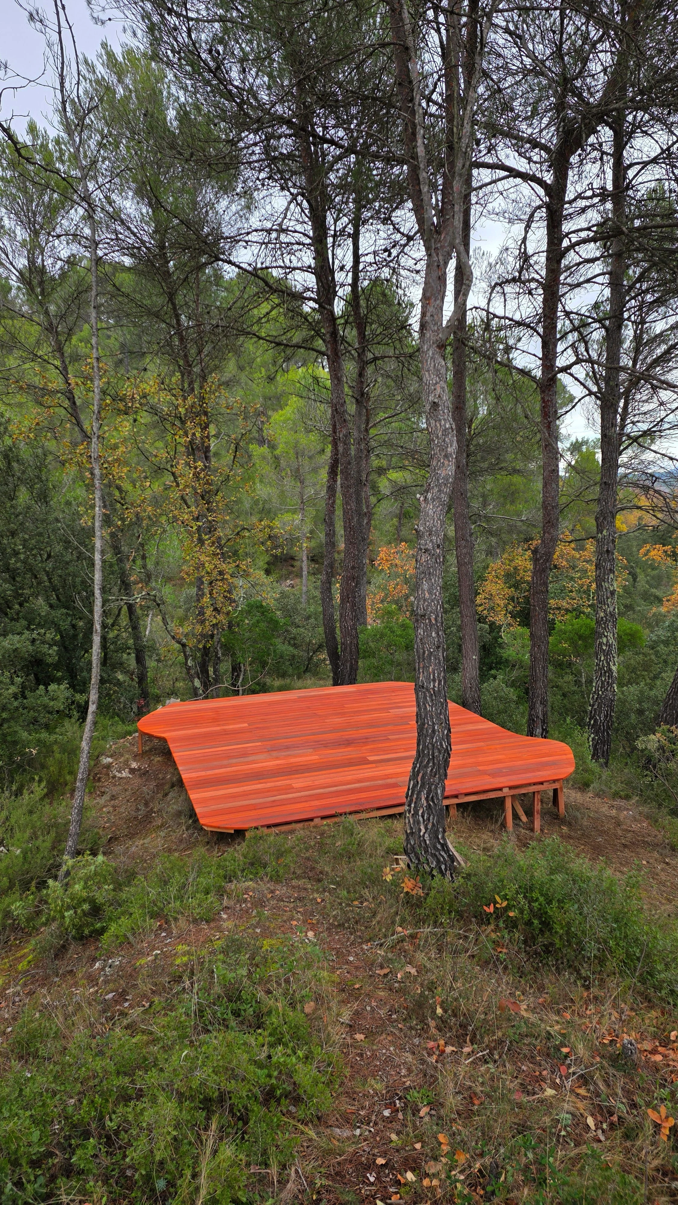 Lieu de Retraite Yoga en Var 2.webp