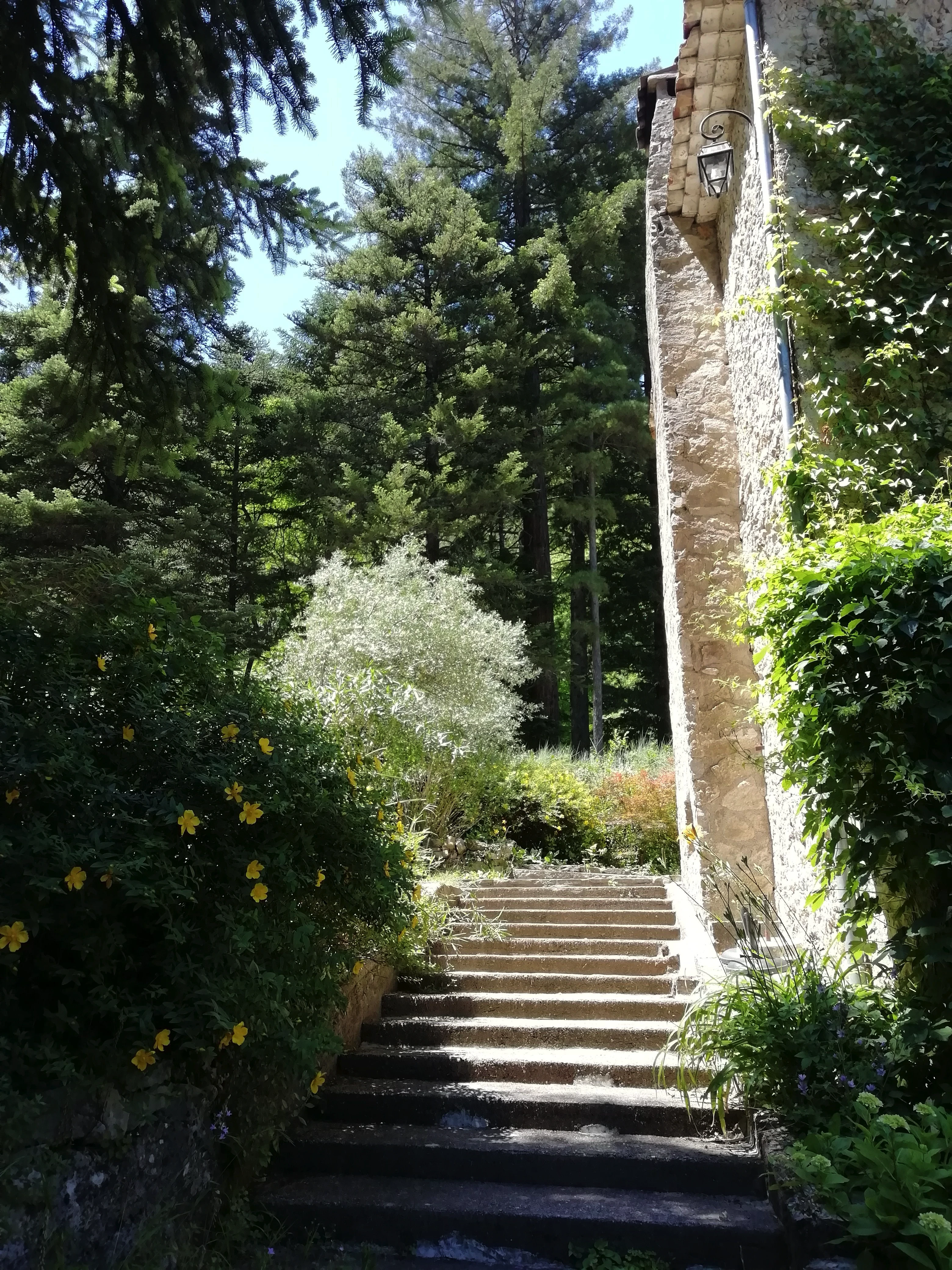 Lieu de Retraite Yoga en Herault 12.webp