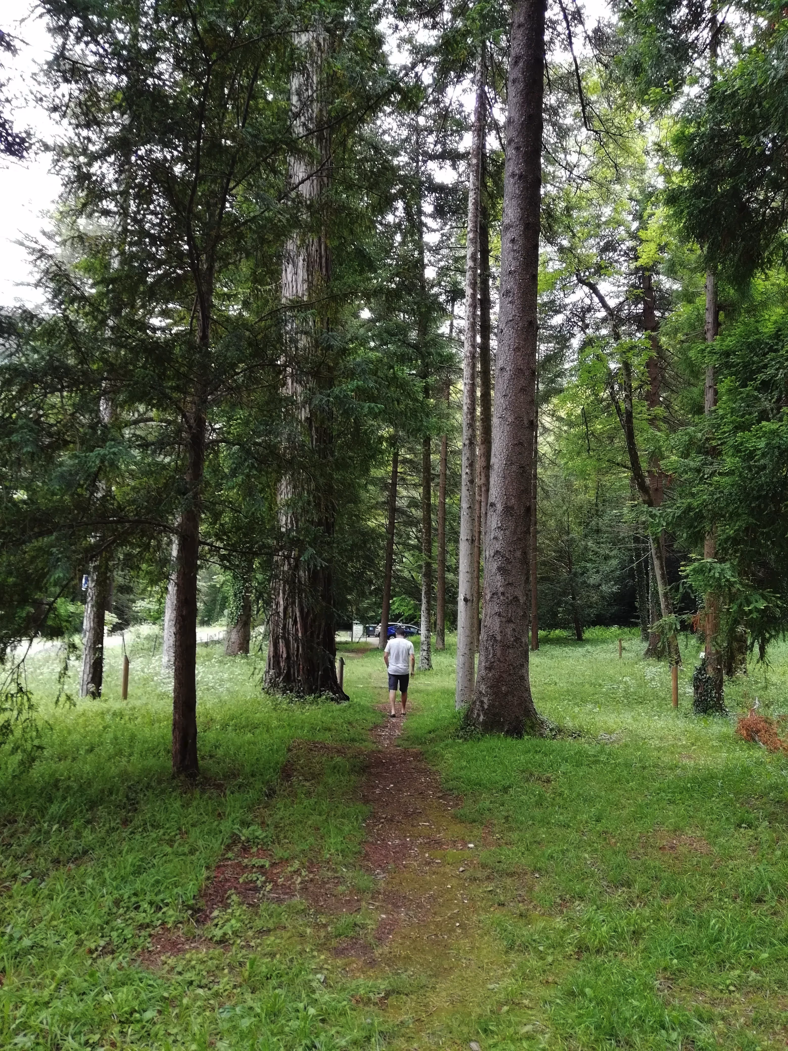 Lieu de Retraite Yoga en Herault 16.webp