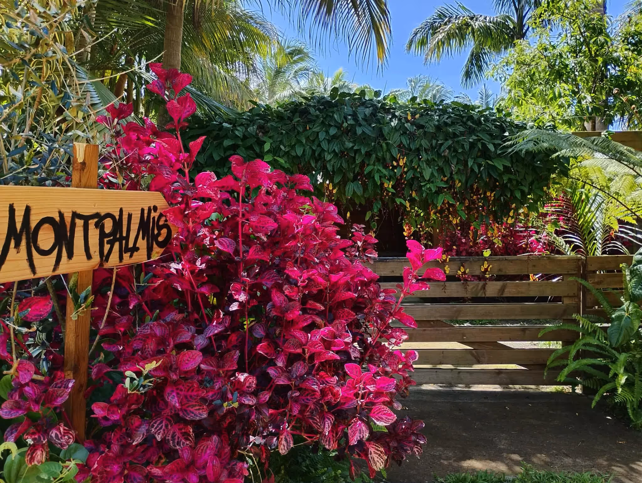 Lieu de stage bien-être | Montpalmis