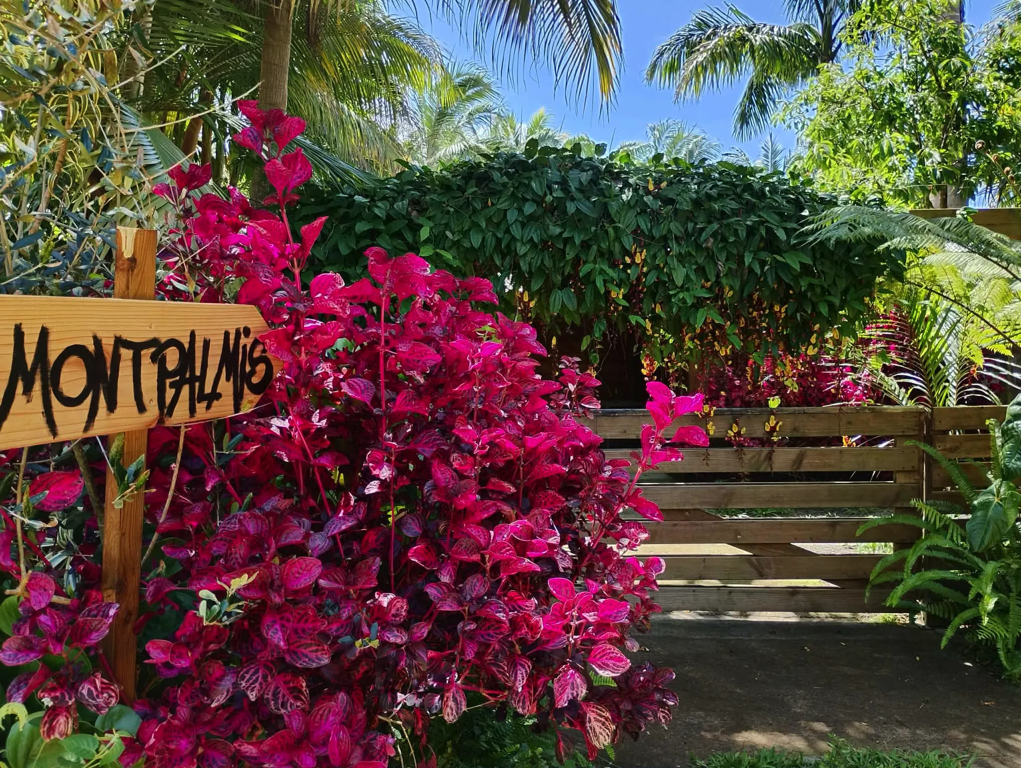 Lieu de stage bien-être | Montpalmis