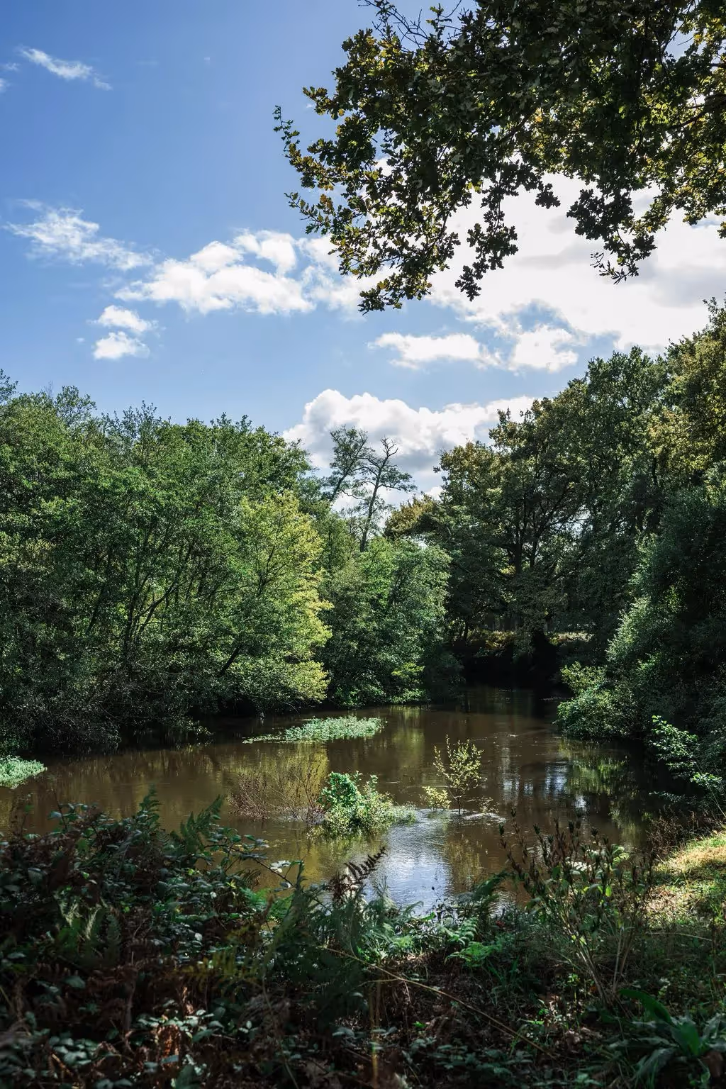 Lieu de Retraite Yoga en Landes 8.webp