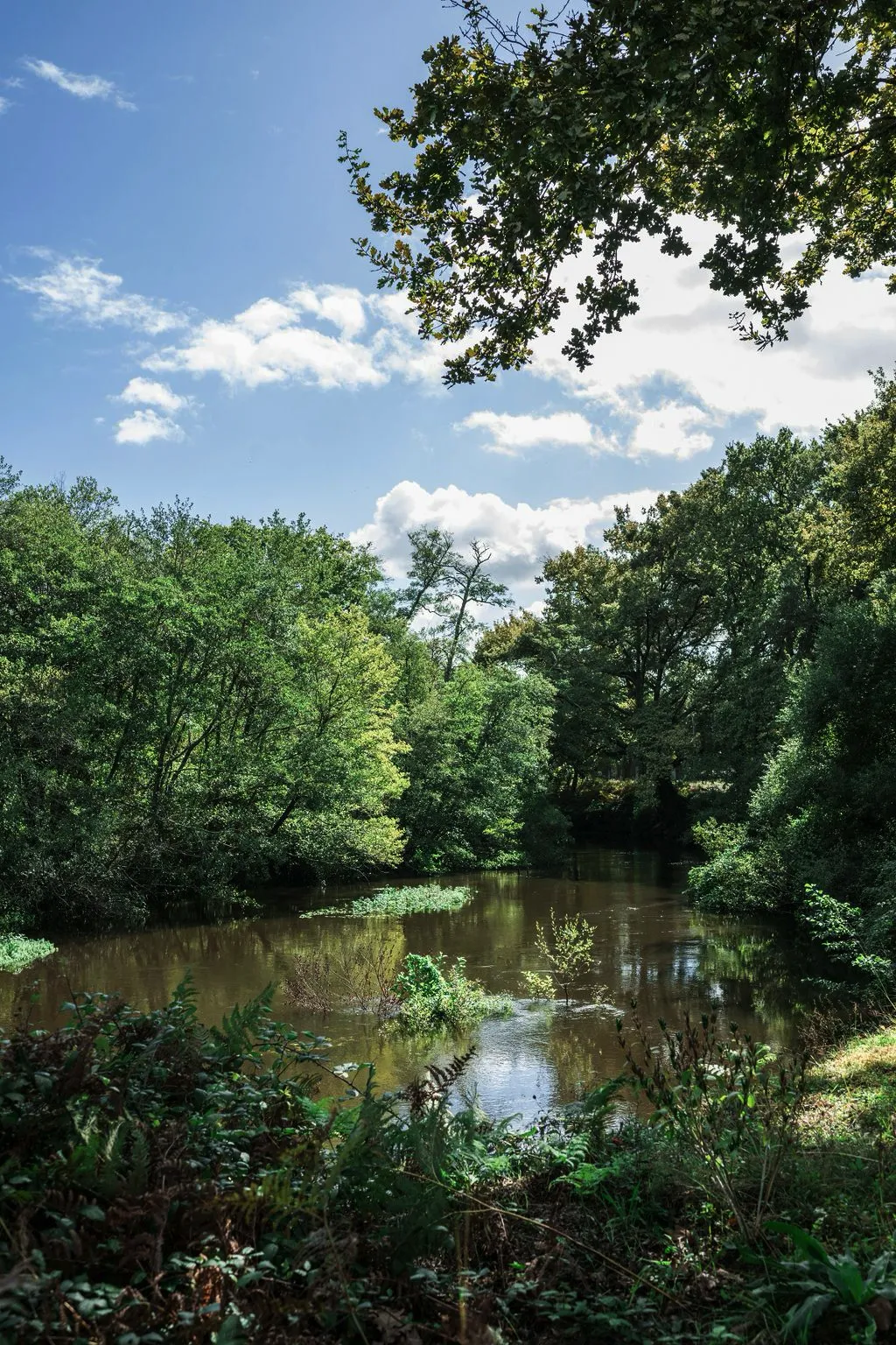 Lieu de Retraite Yoga en Landes 8.webp