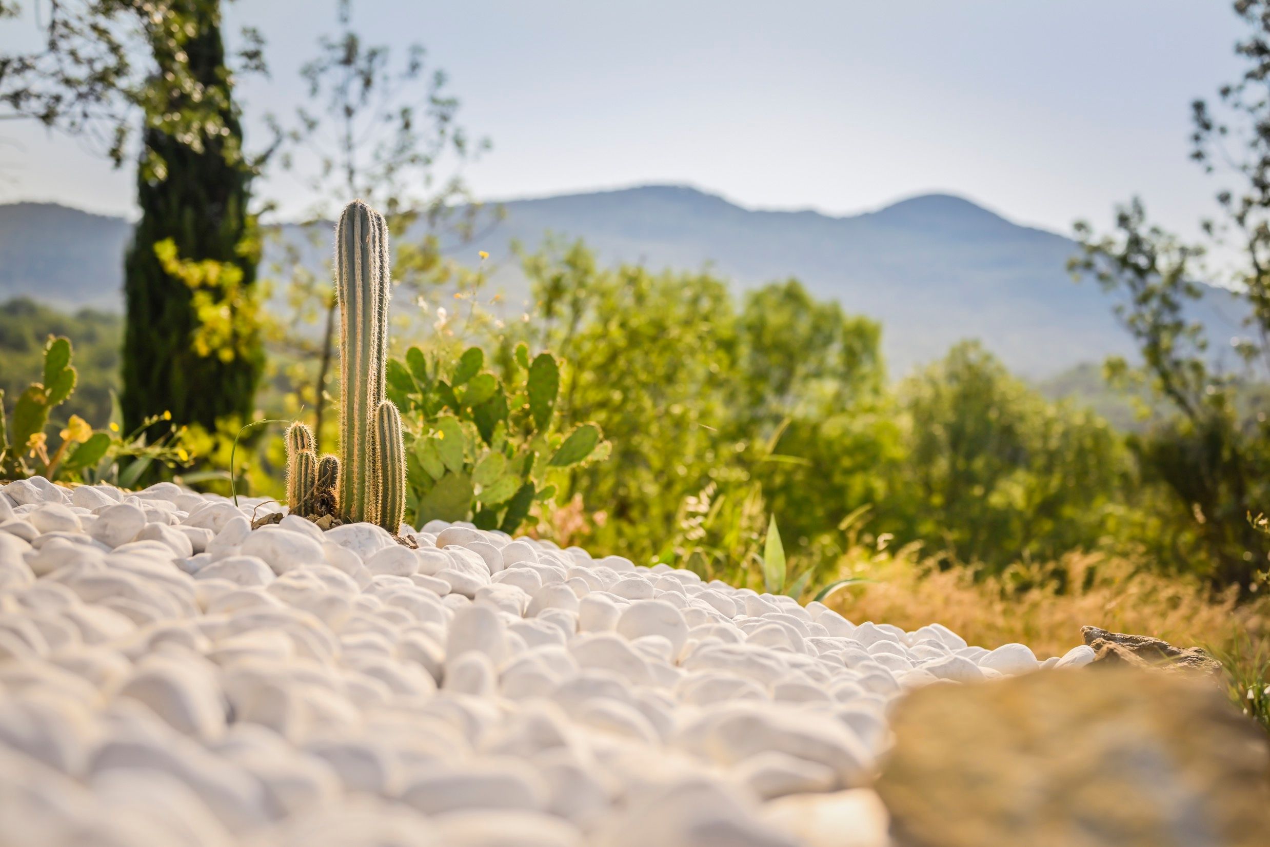 Lieu de Retraite Yoga en Herault 17.jpg