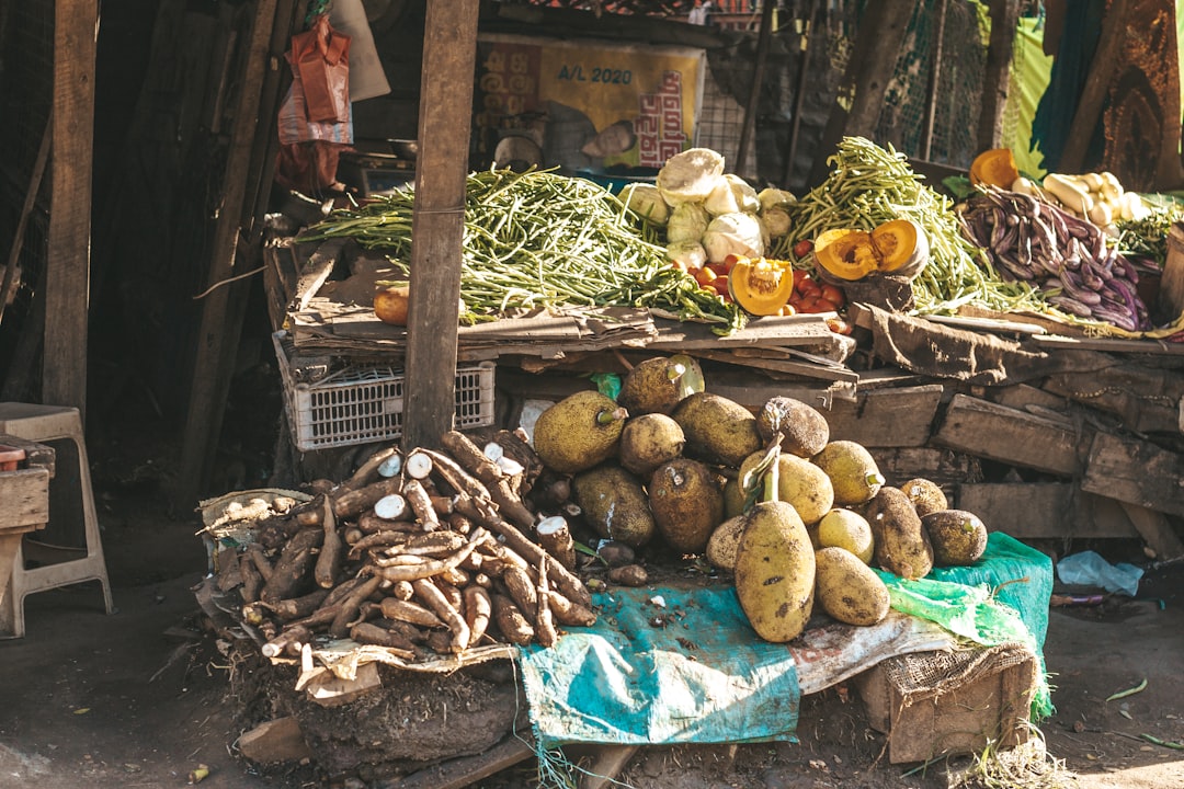 micronutrition | Lieux de Retraites