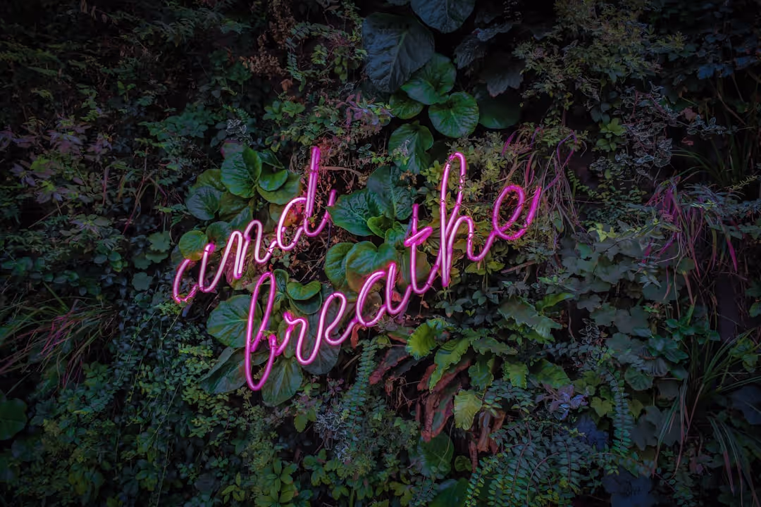 respiration consciente | Lieux de Retraites