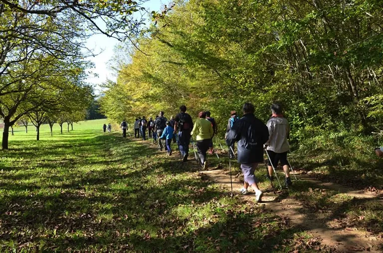 Lieu de Retraite Yoga en Isere 22.webp