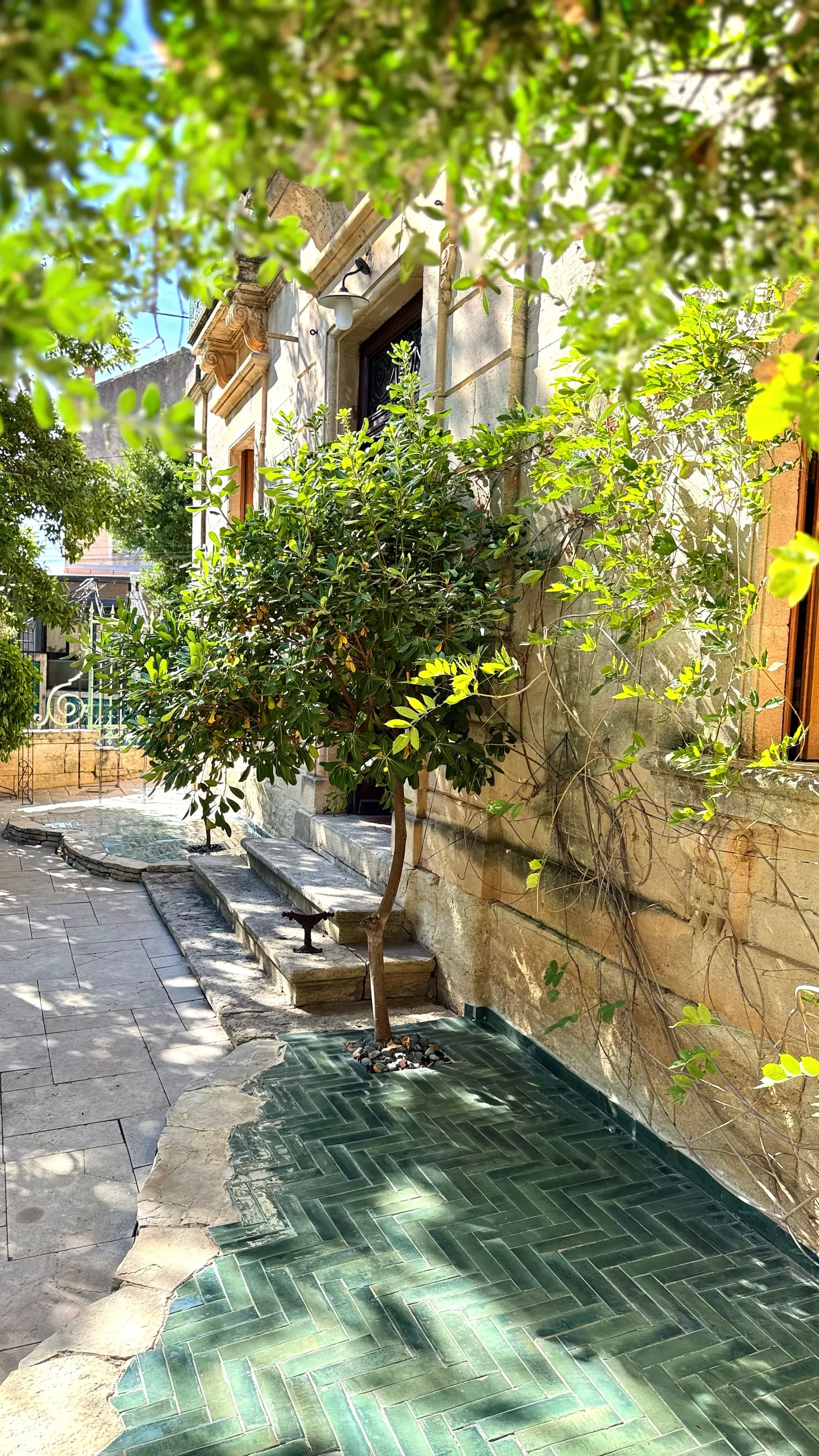 Lieu de Retraite Yoga en Herault 16.webp