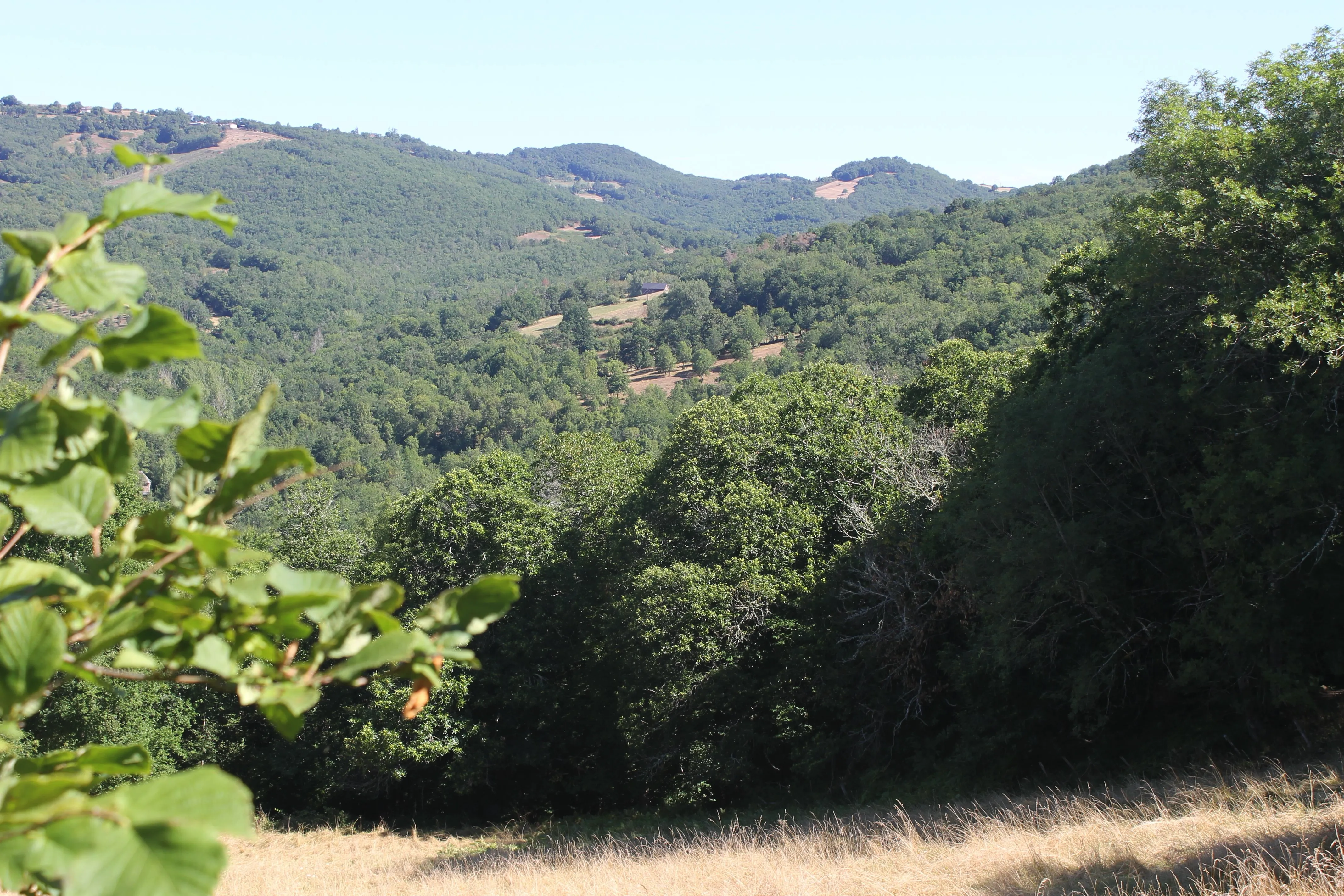 Lieu de Retraite Yoga en Aveyron 12.webp