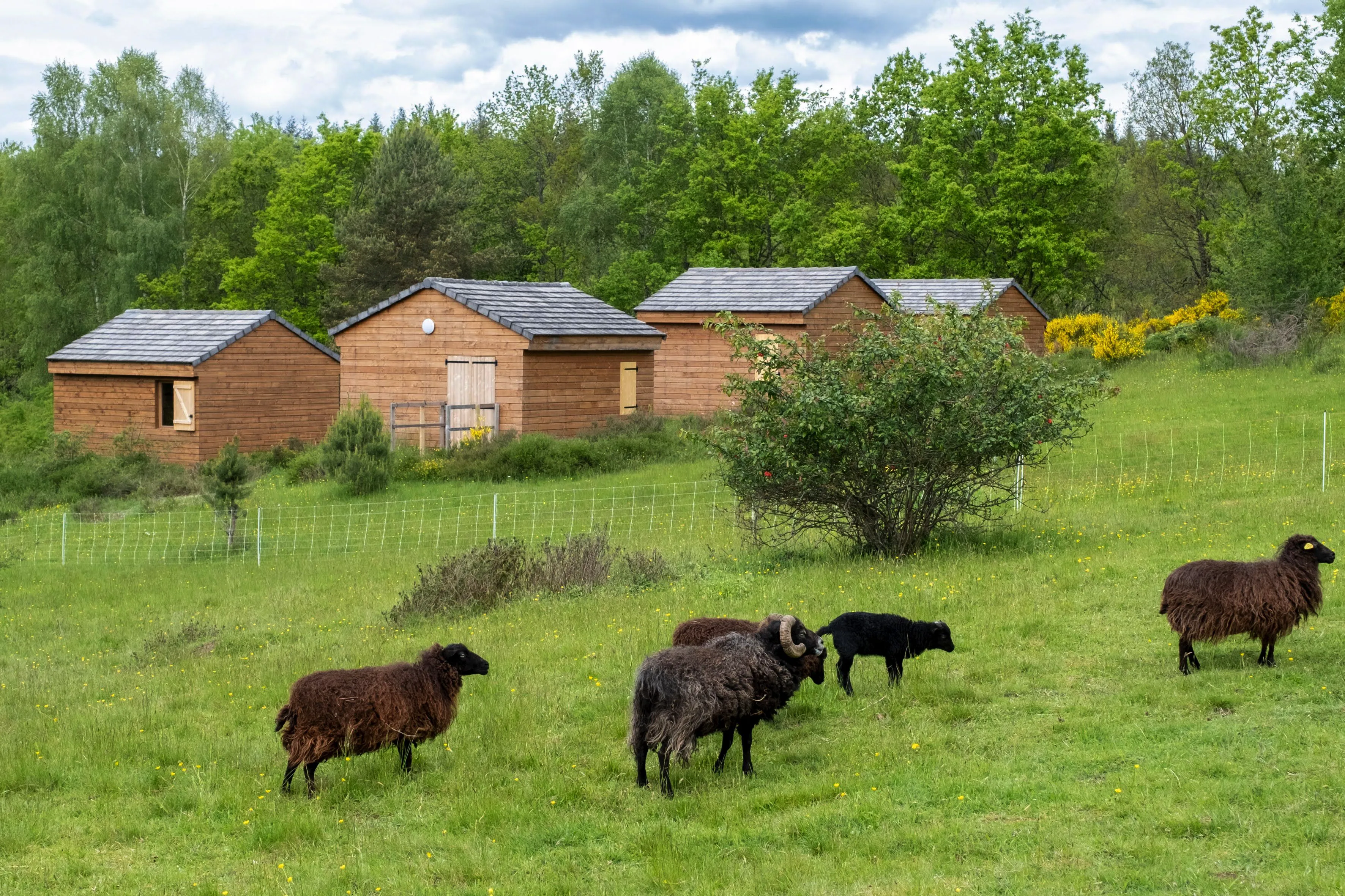 Lieu de Retraite Yoga en Correze 8.webp