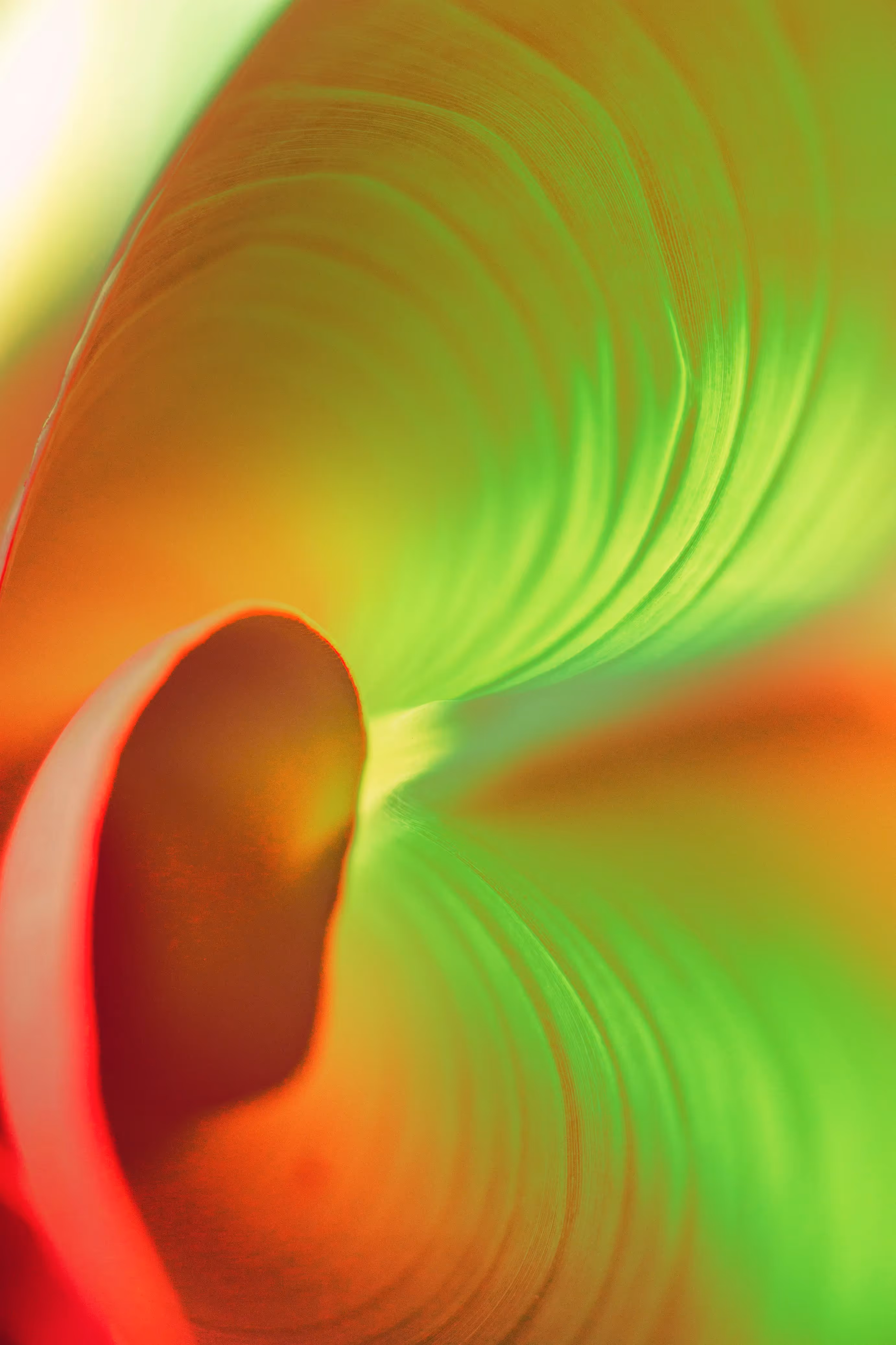 Nature sereine, guérison holistique, médecine vibratoire.